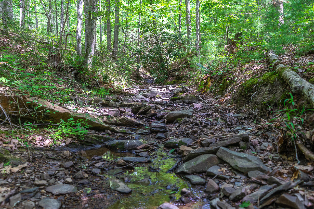 159 Seldom Seen Holler