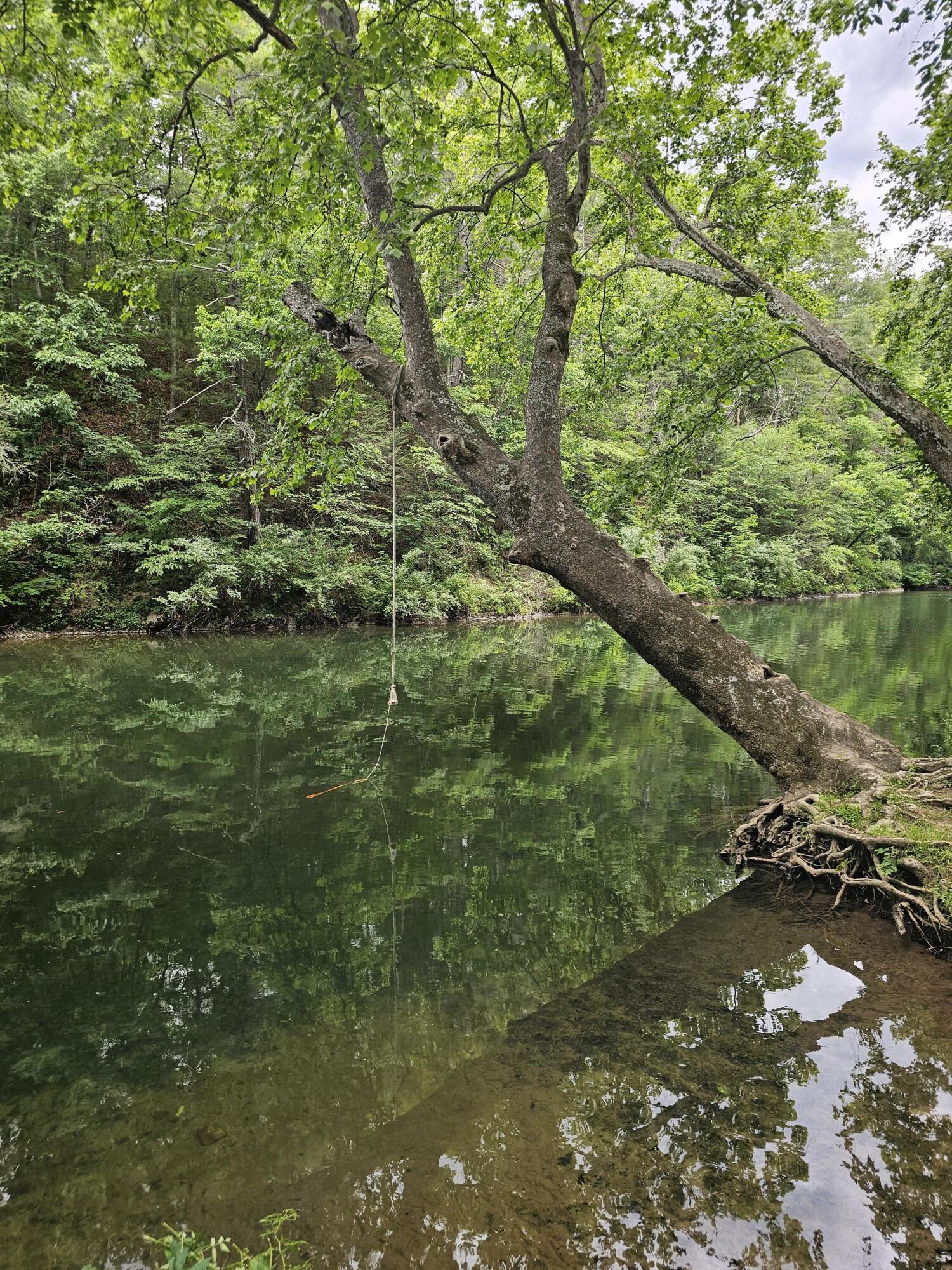 159 Seldom Seen Holler