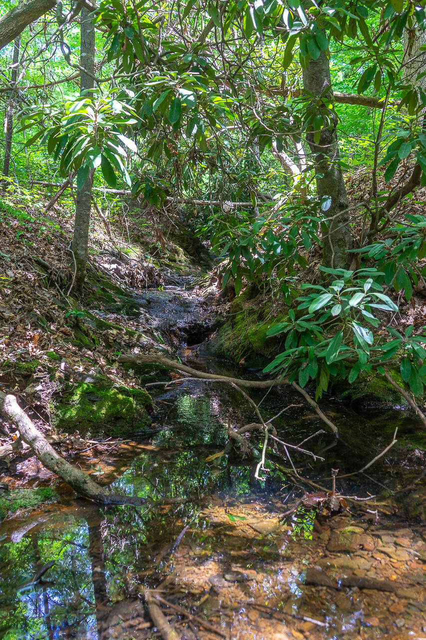 159 Seldom Seen Holler
