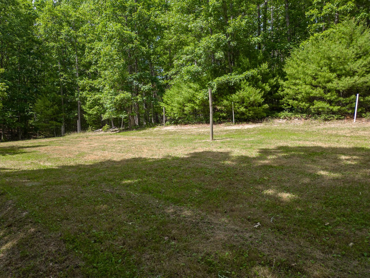159 Seldom Seen Holler