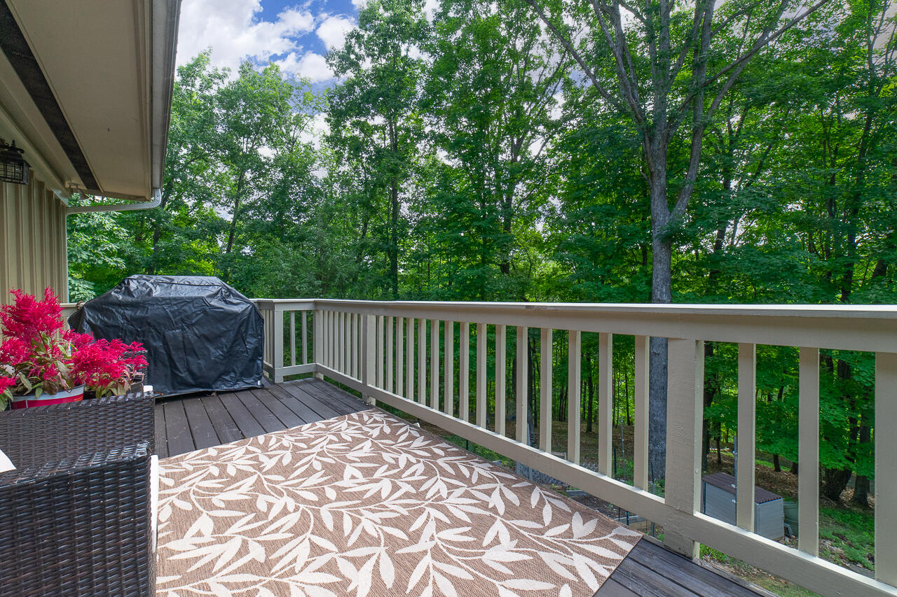 70 Mountain Song Ln