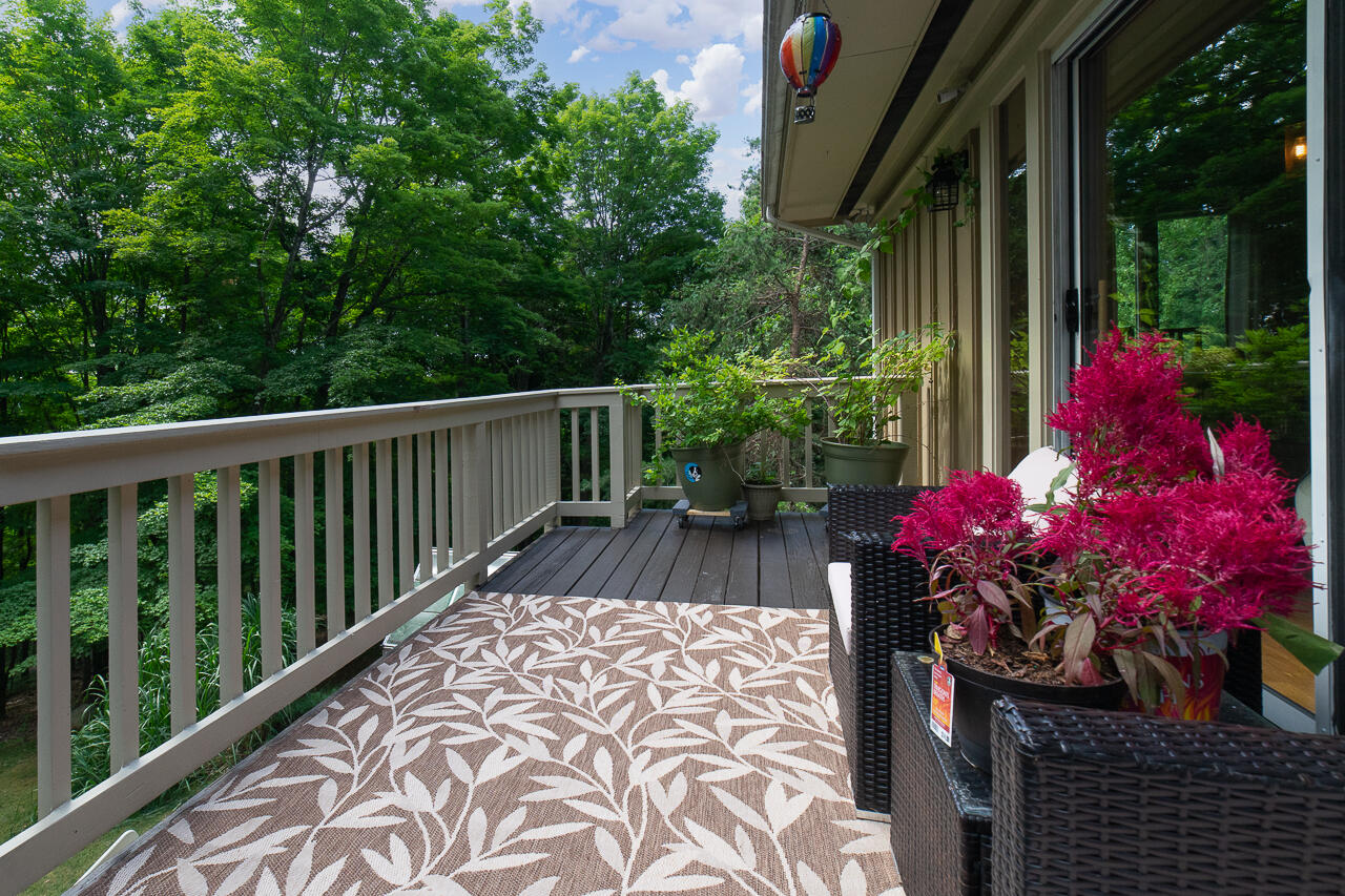 70 Mountain Song Ln