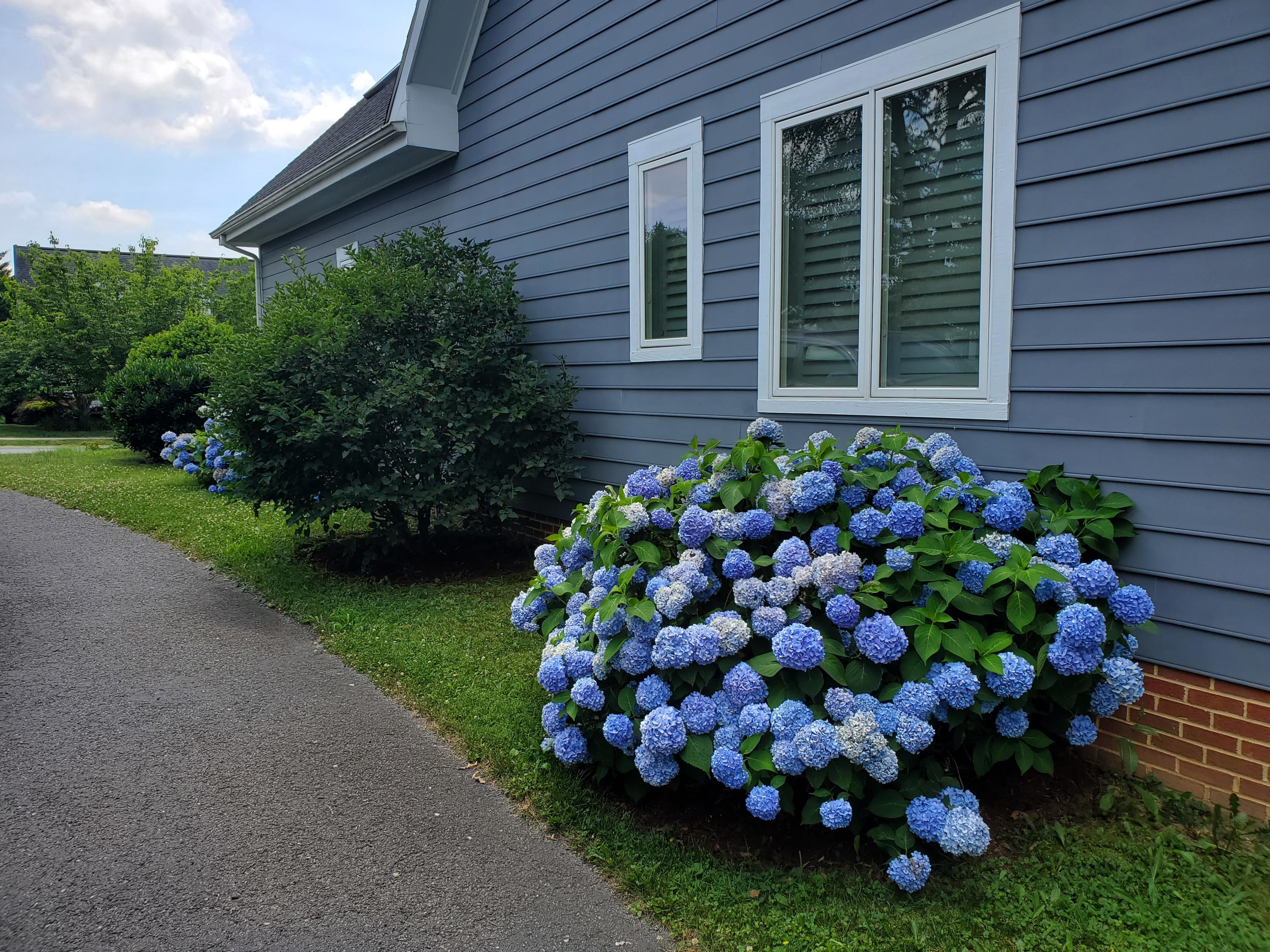 89 Woodridge Ln
