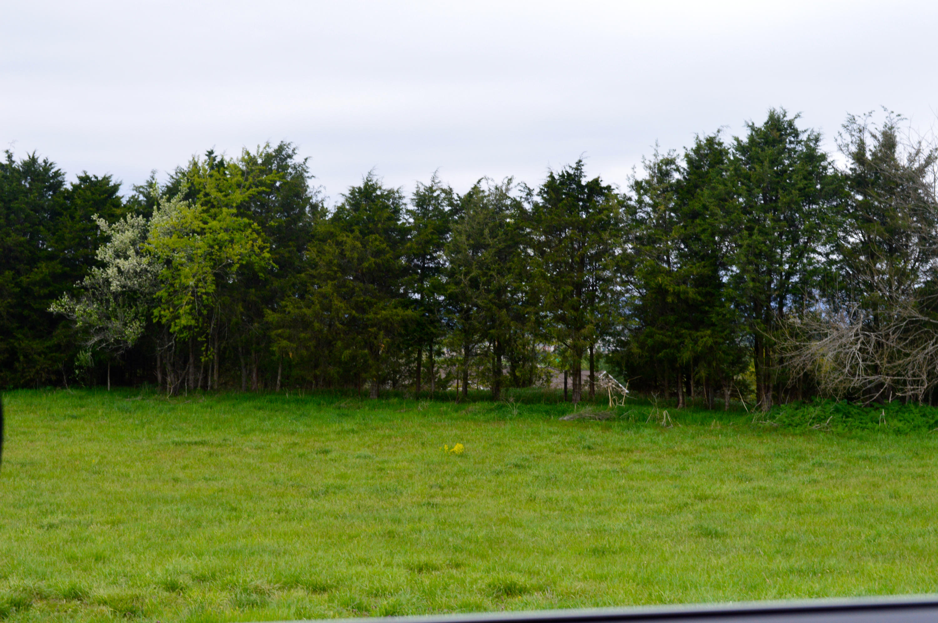 Lot 12 Ponds Dr
