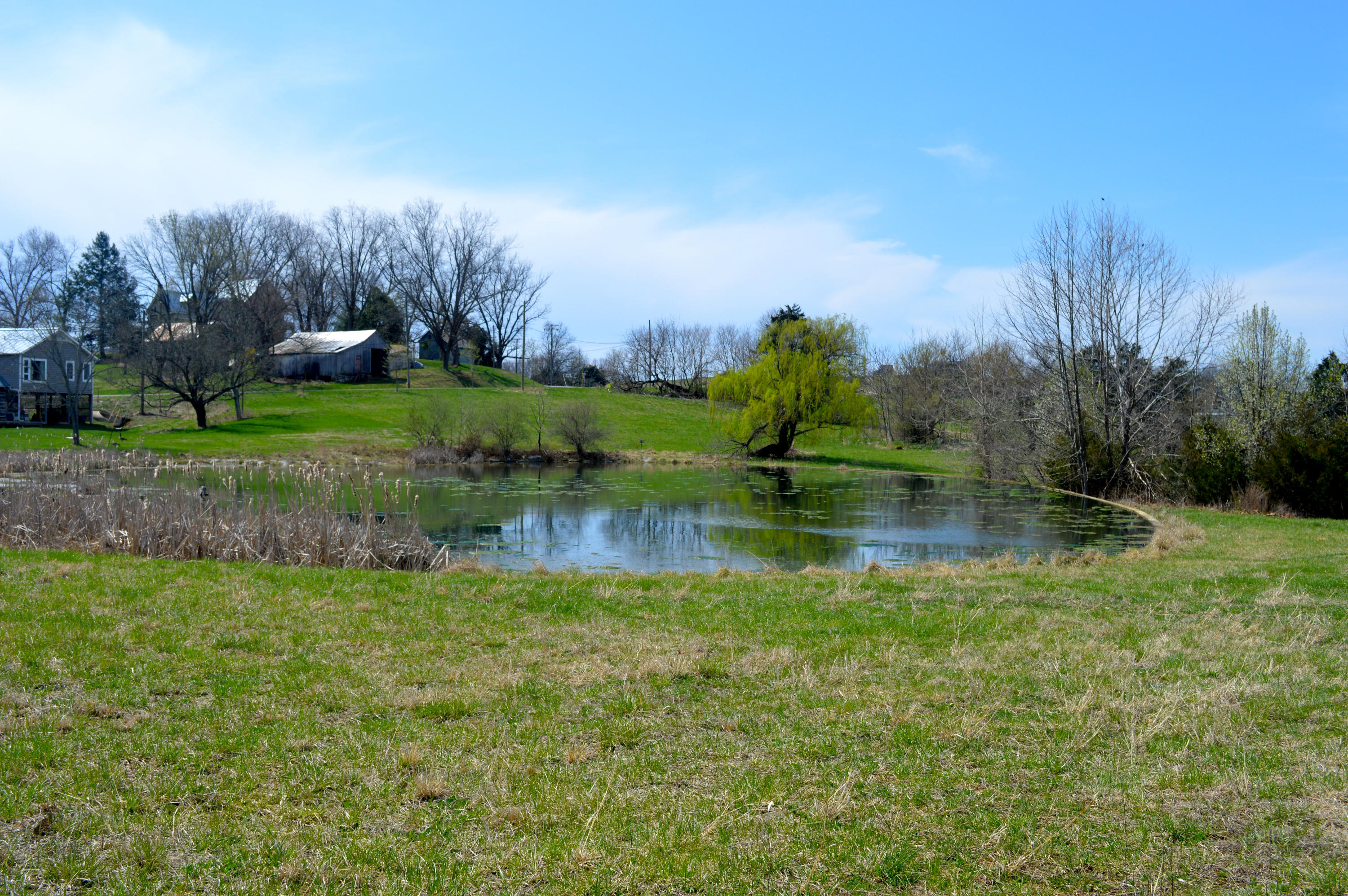 Lot 112 George William Ln