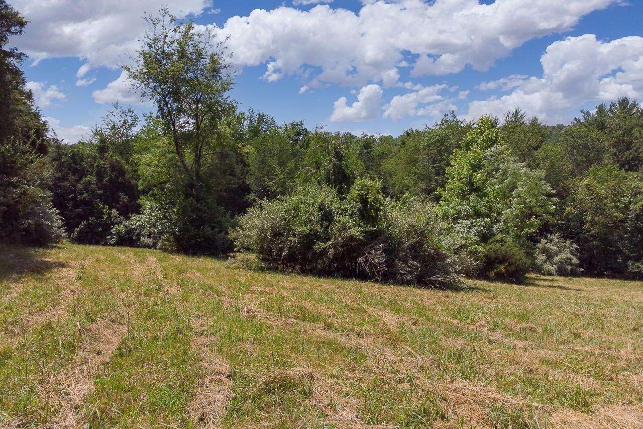 4.411 acre Shenandoah Rd