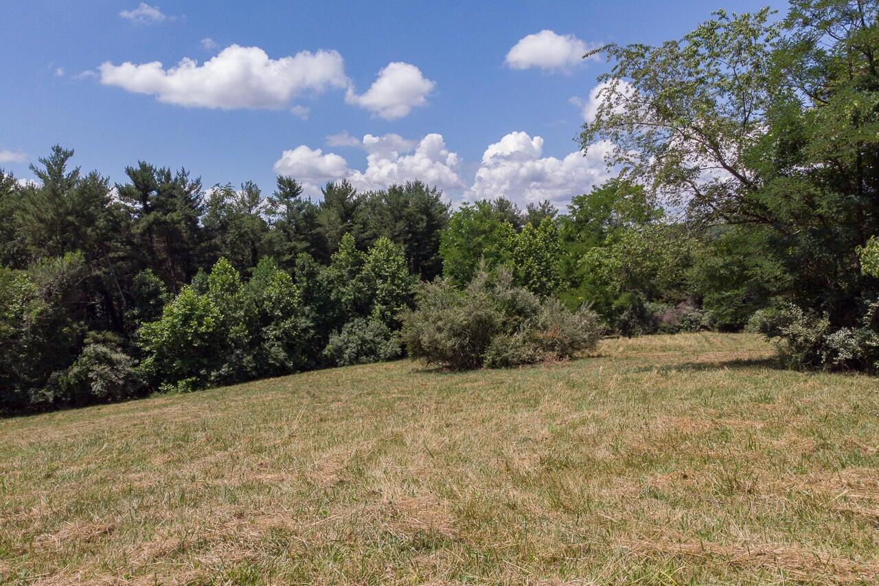 4.411 acre Shenandoah Rd