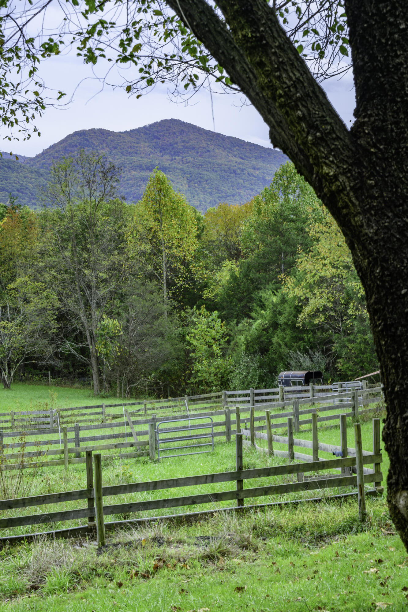 1997 Timber Ridge Rd