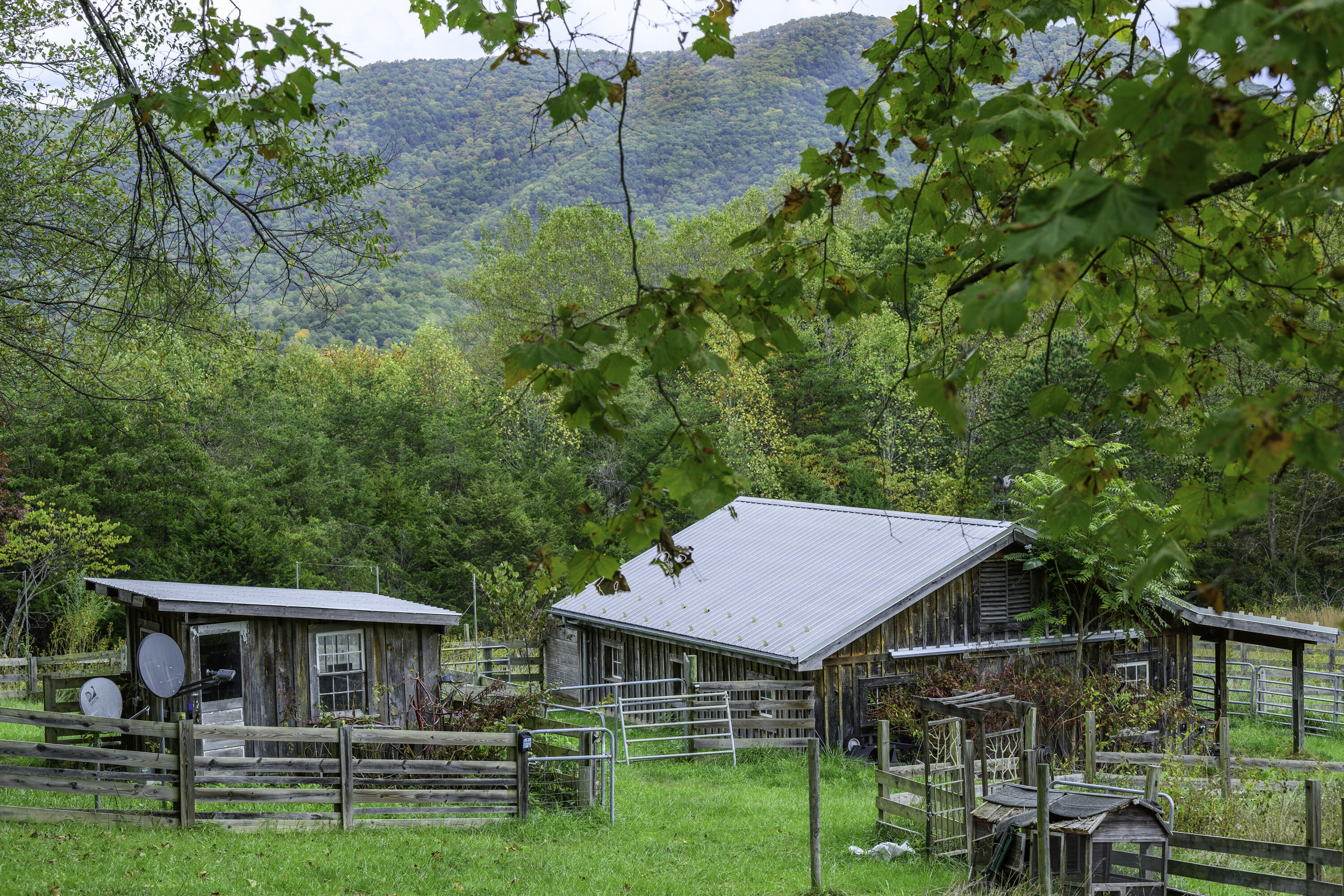 1997 Timber Ridge Rd