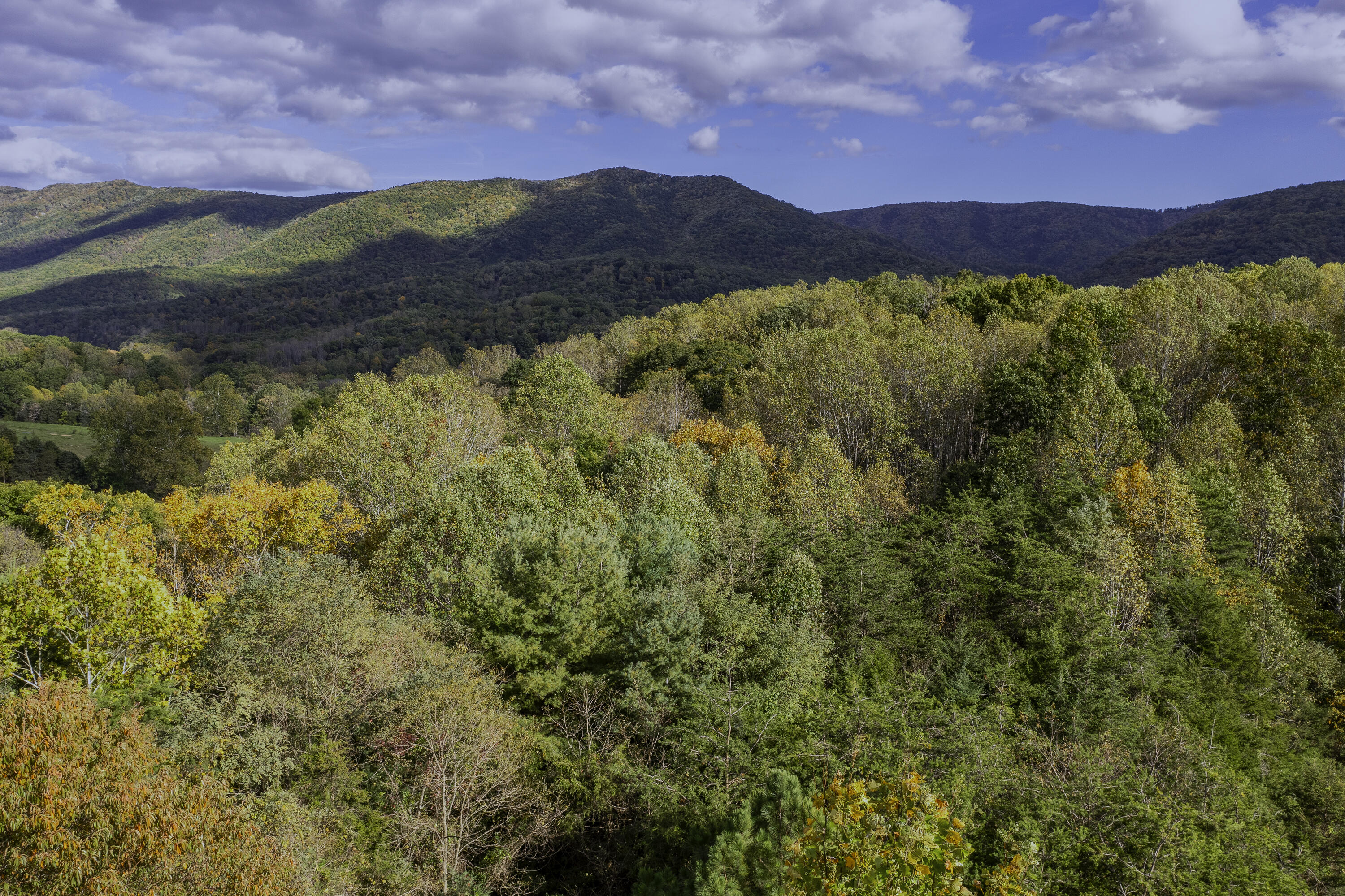 1997 Timber Ridge Rd