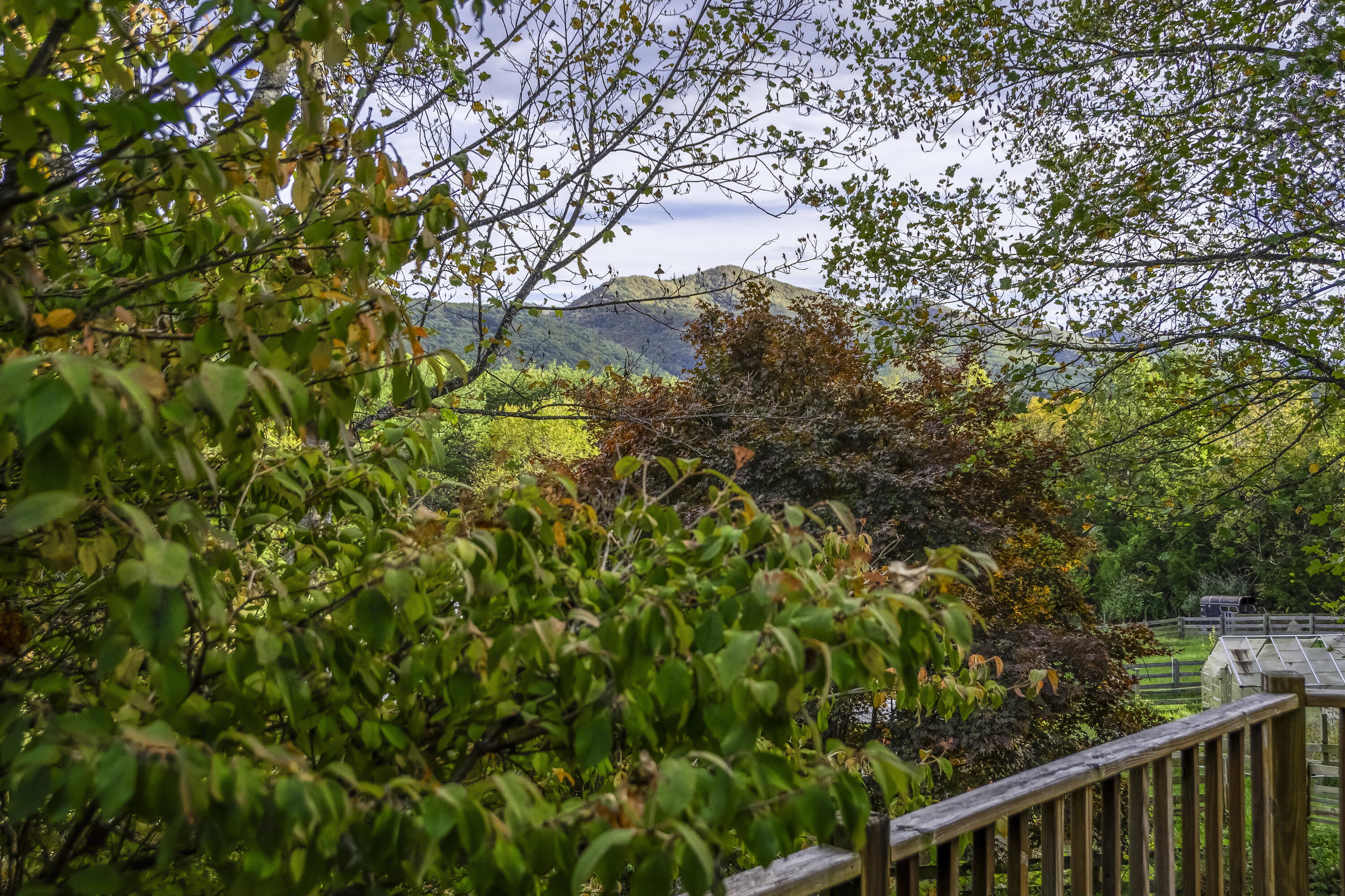 1997 Timber Ridge Rd