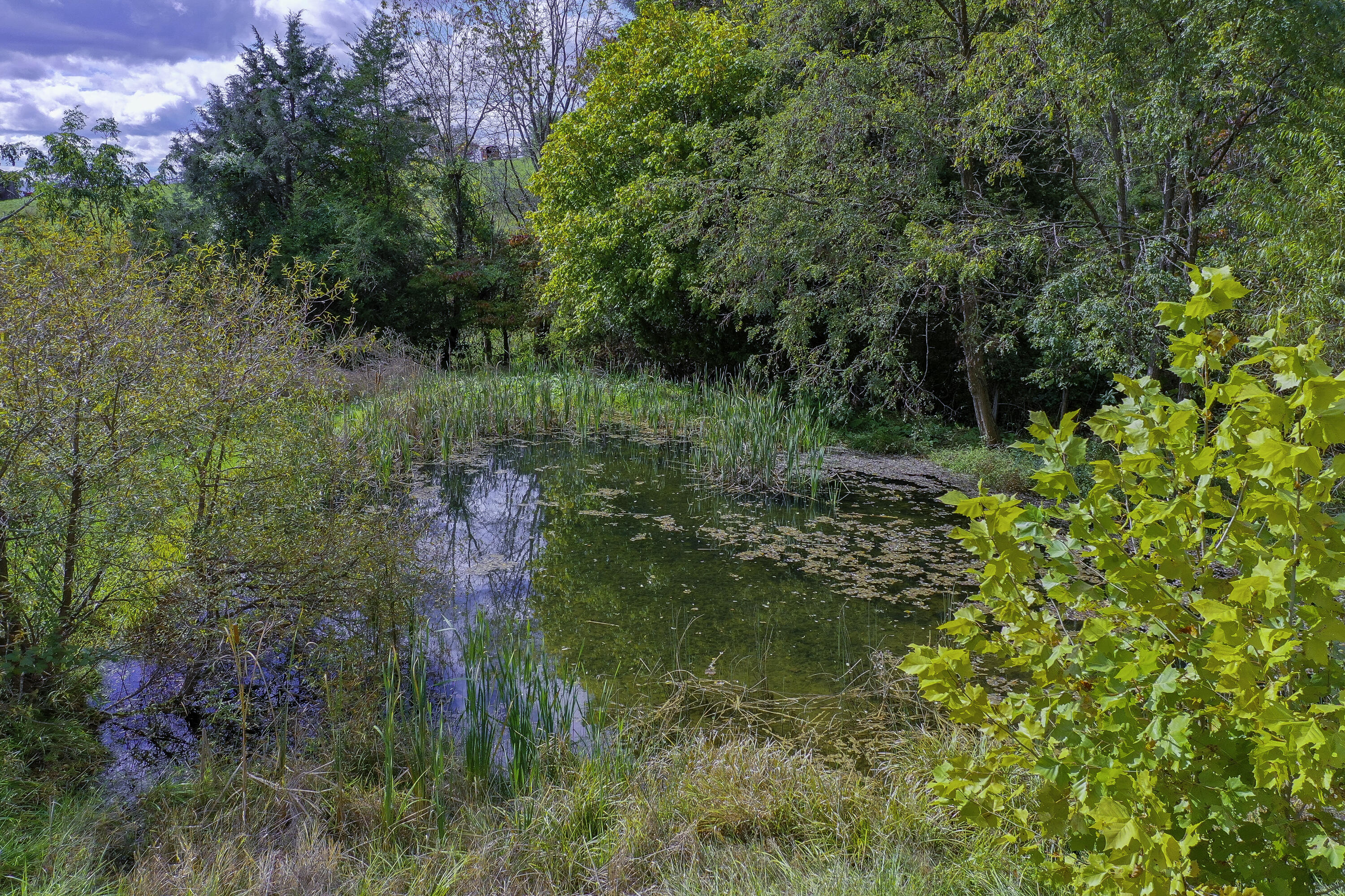 1997 Timber Ridge Rd