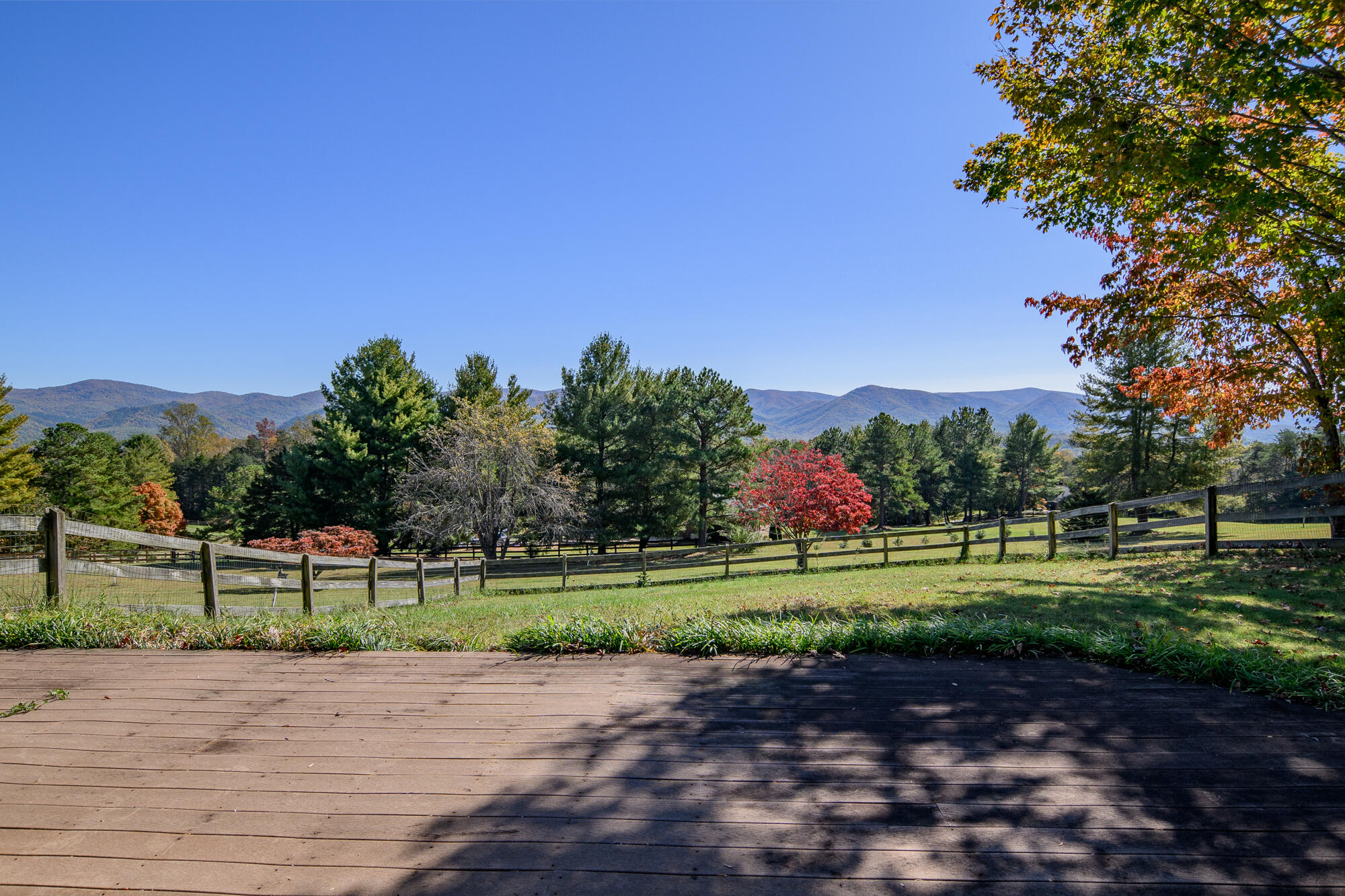 79 Reese Ridge Ln