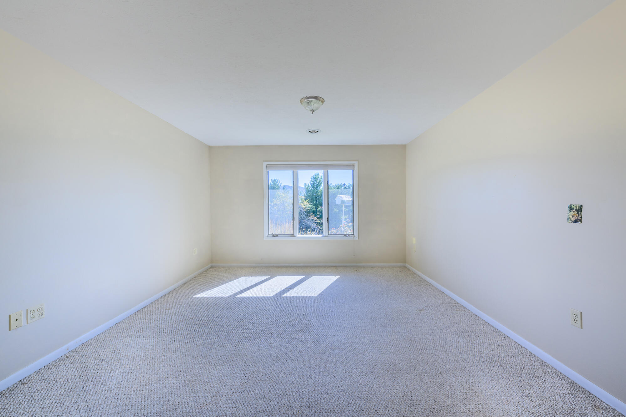 79 Reese Ridge Ln