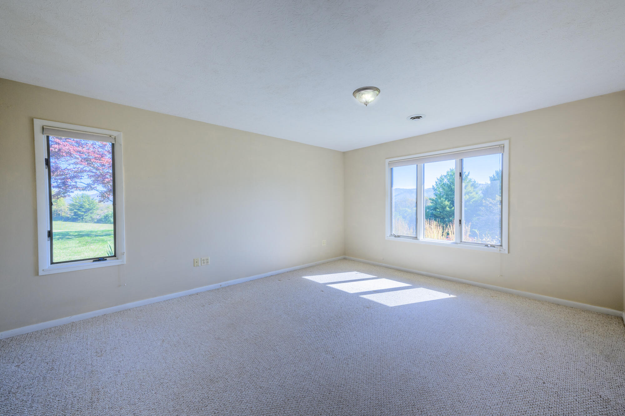 79 Reese Ridge Ln