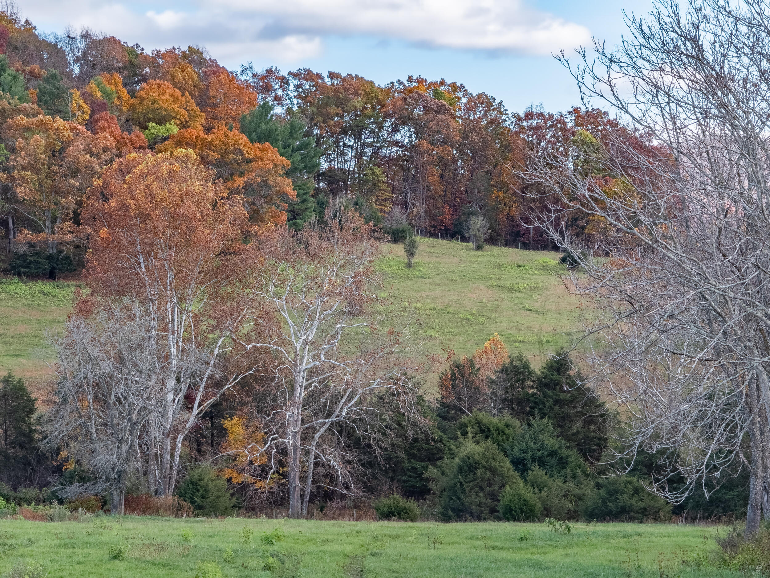 1631 Timber Ridge Rd