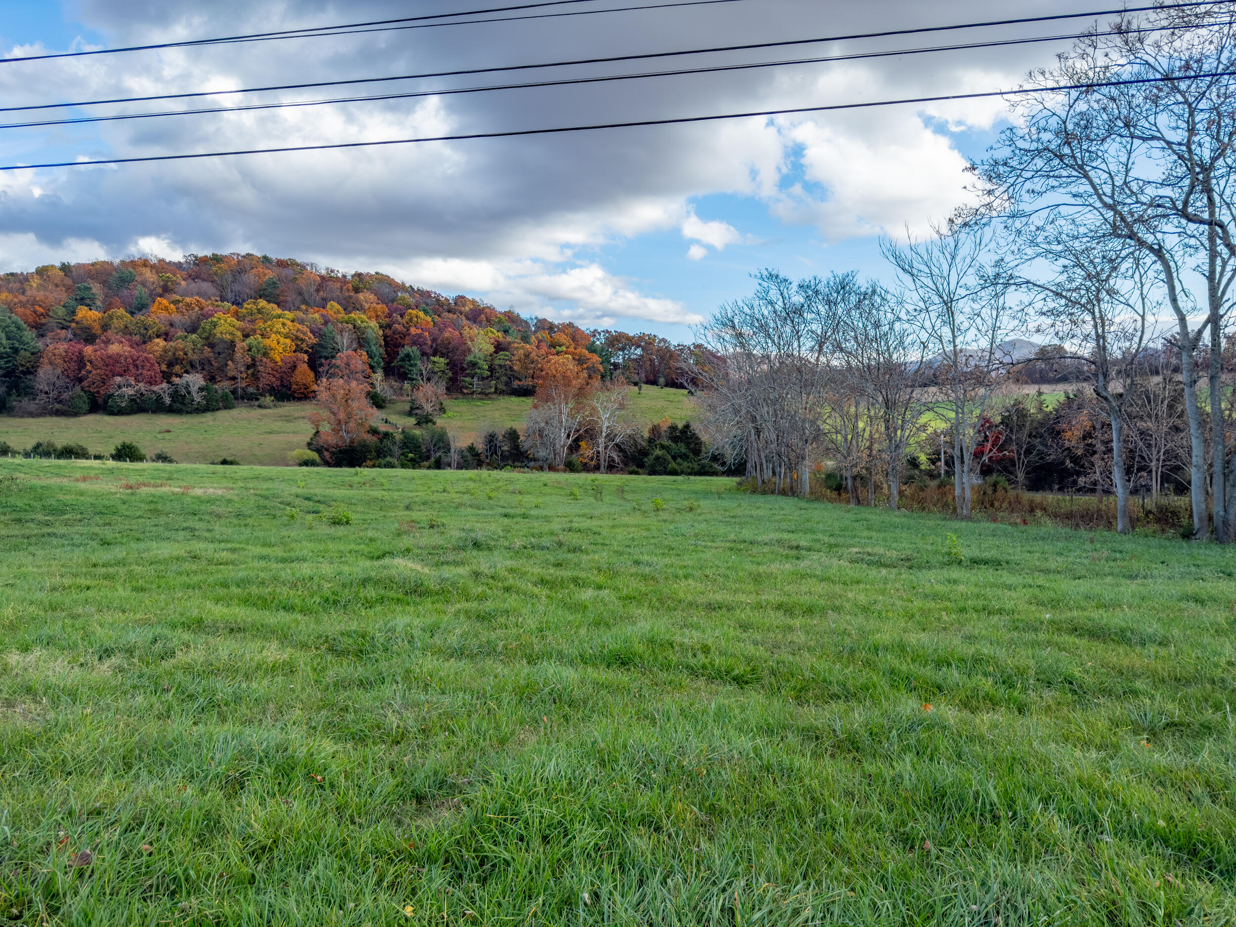 1631 Timber Ridge Rd
