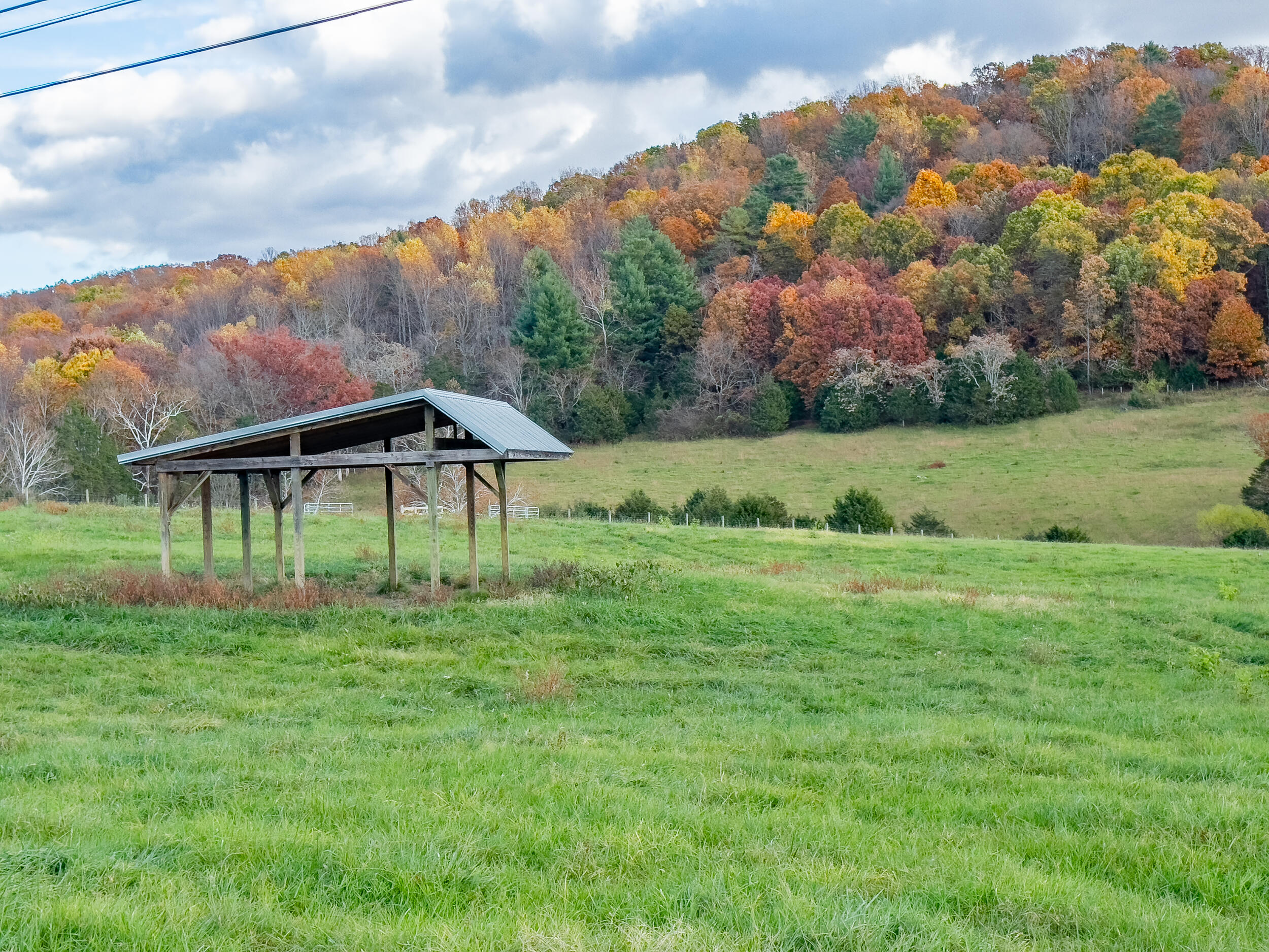 1631 Timber Ridge Rd