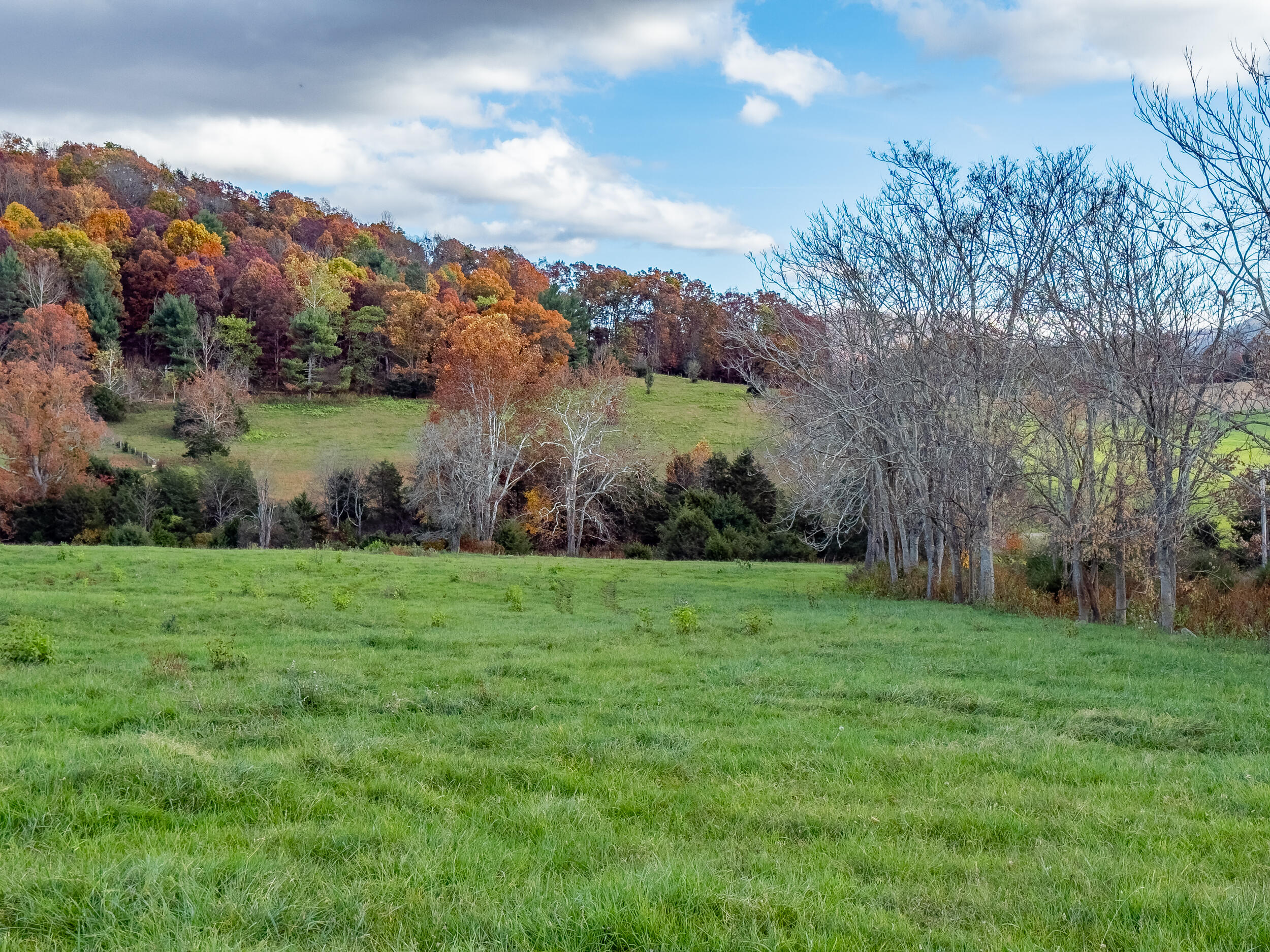 1631 Timber Ridge Rd