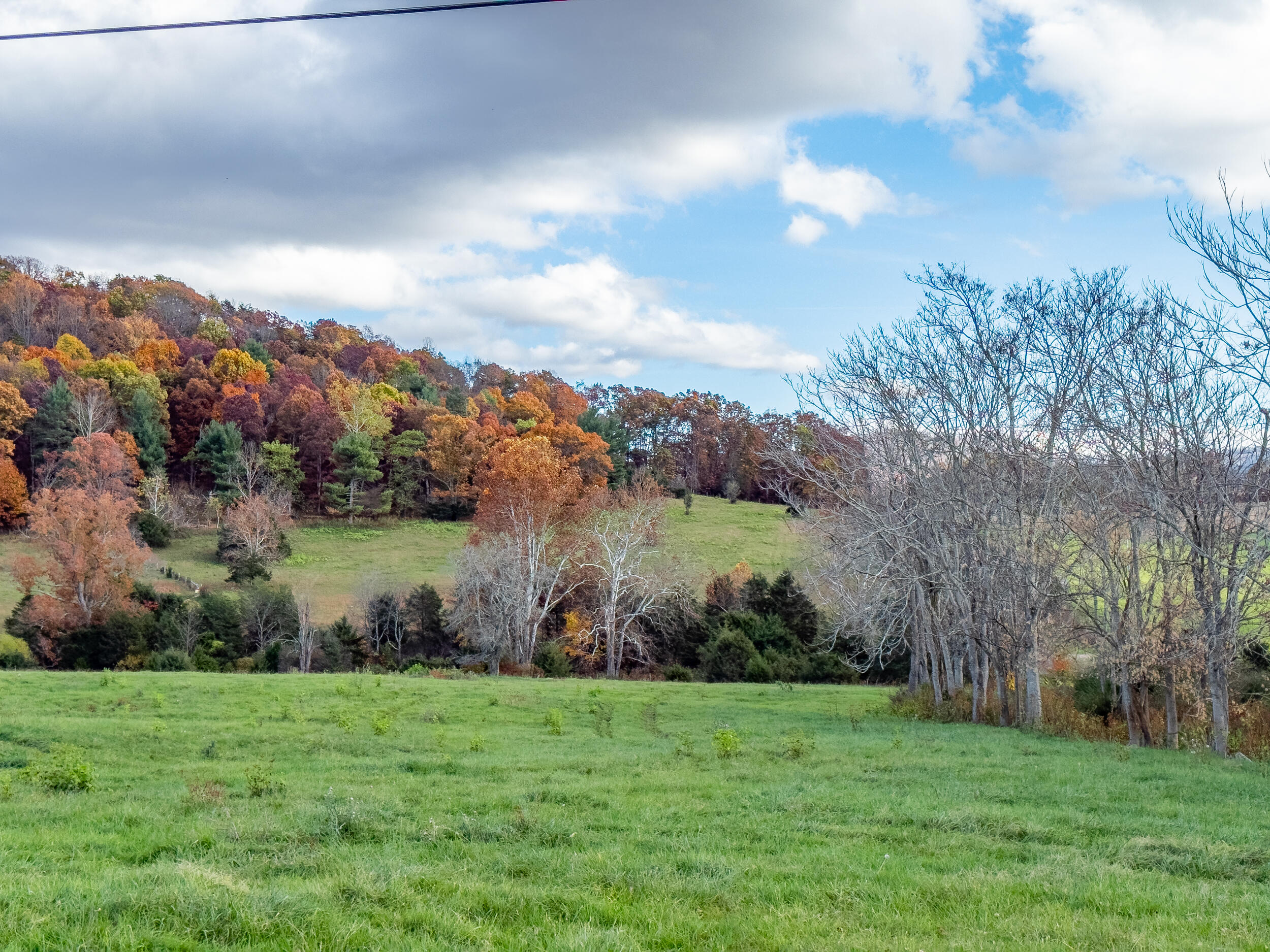 1631 Timber Ridge Rd