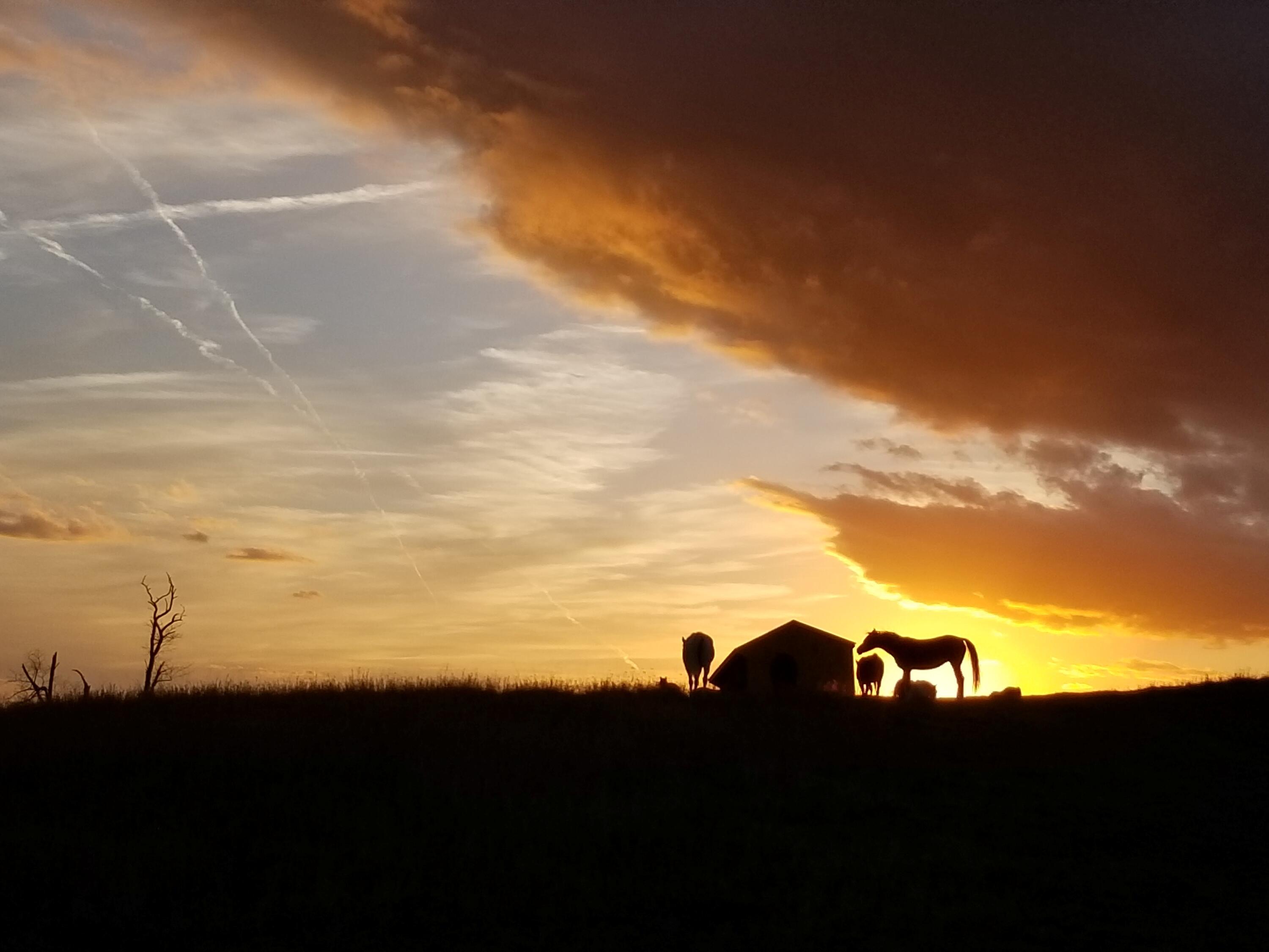 747 New Providence Rd