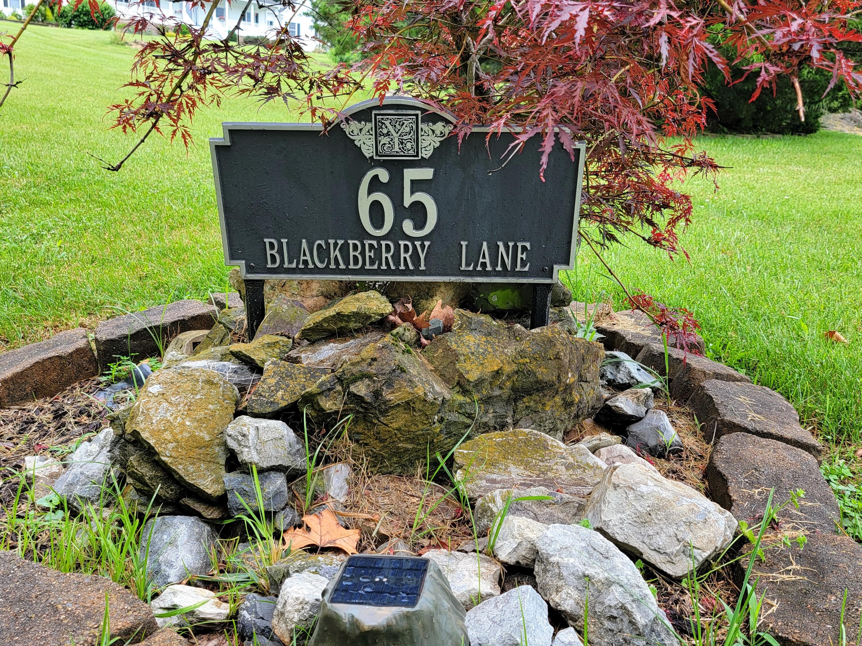 65 Blackberry Ln
