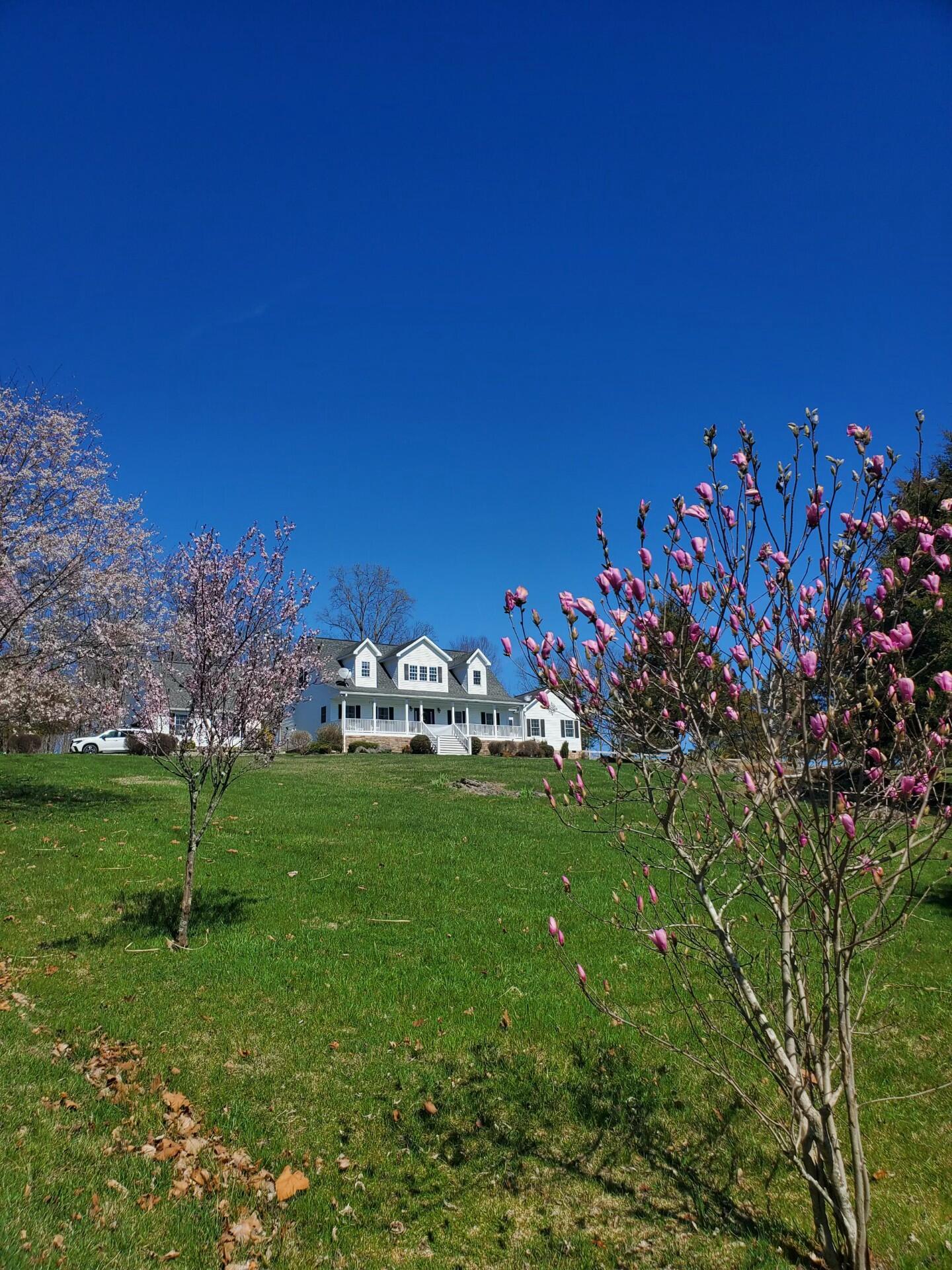 65 Blackberry Ln