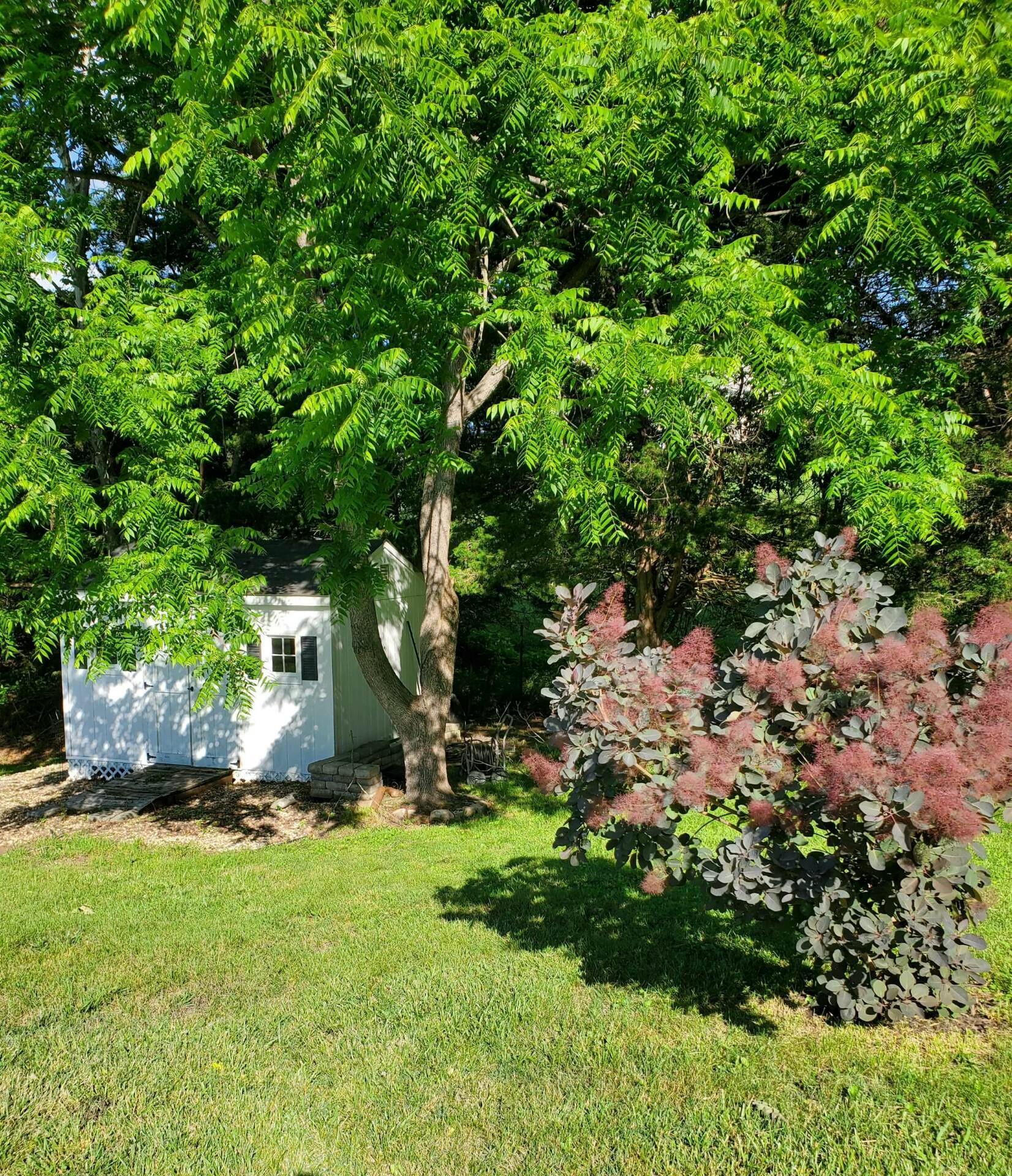 65 Blackberry Ln