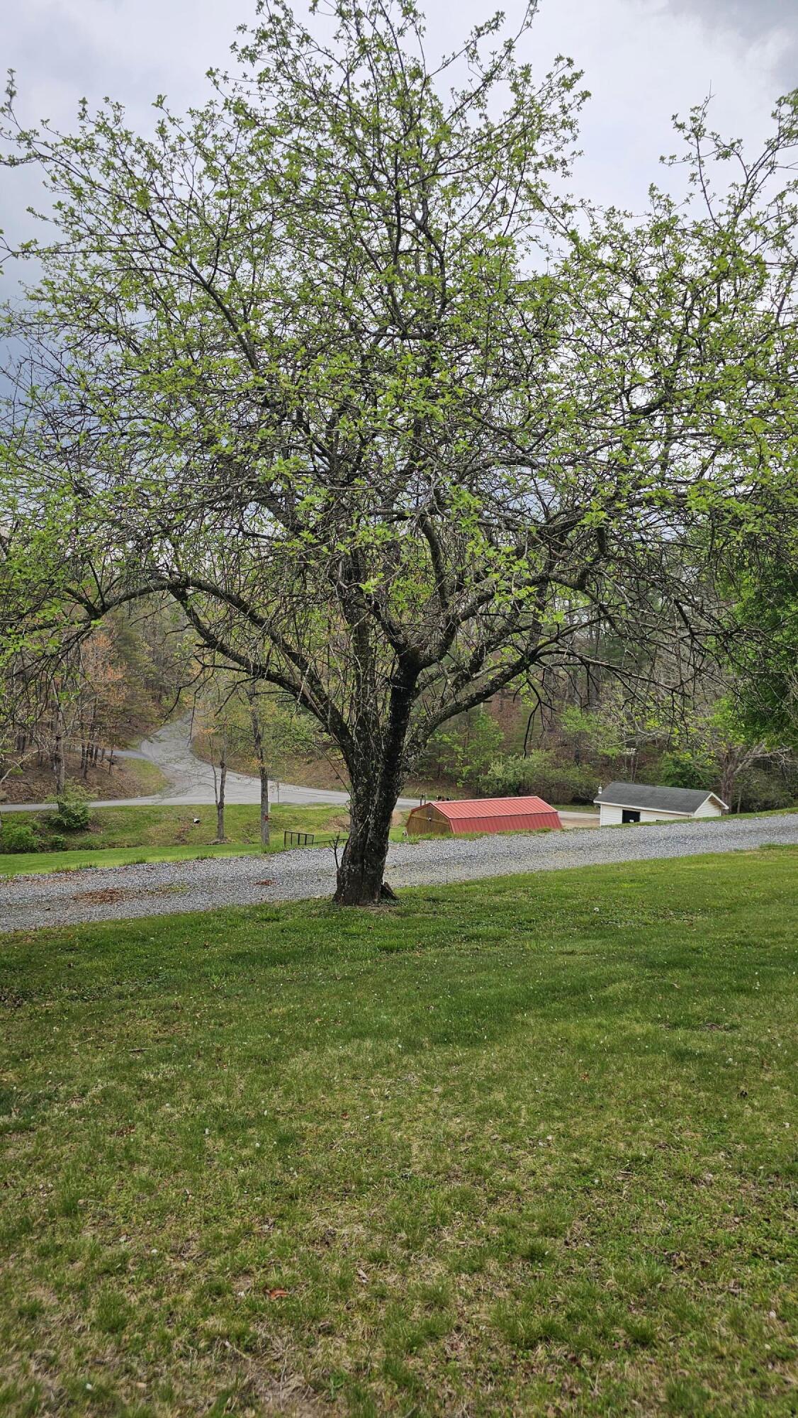 59 Rainbow Hill Dr