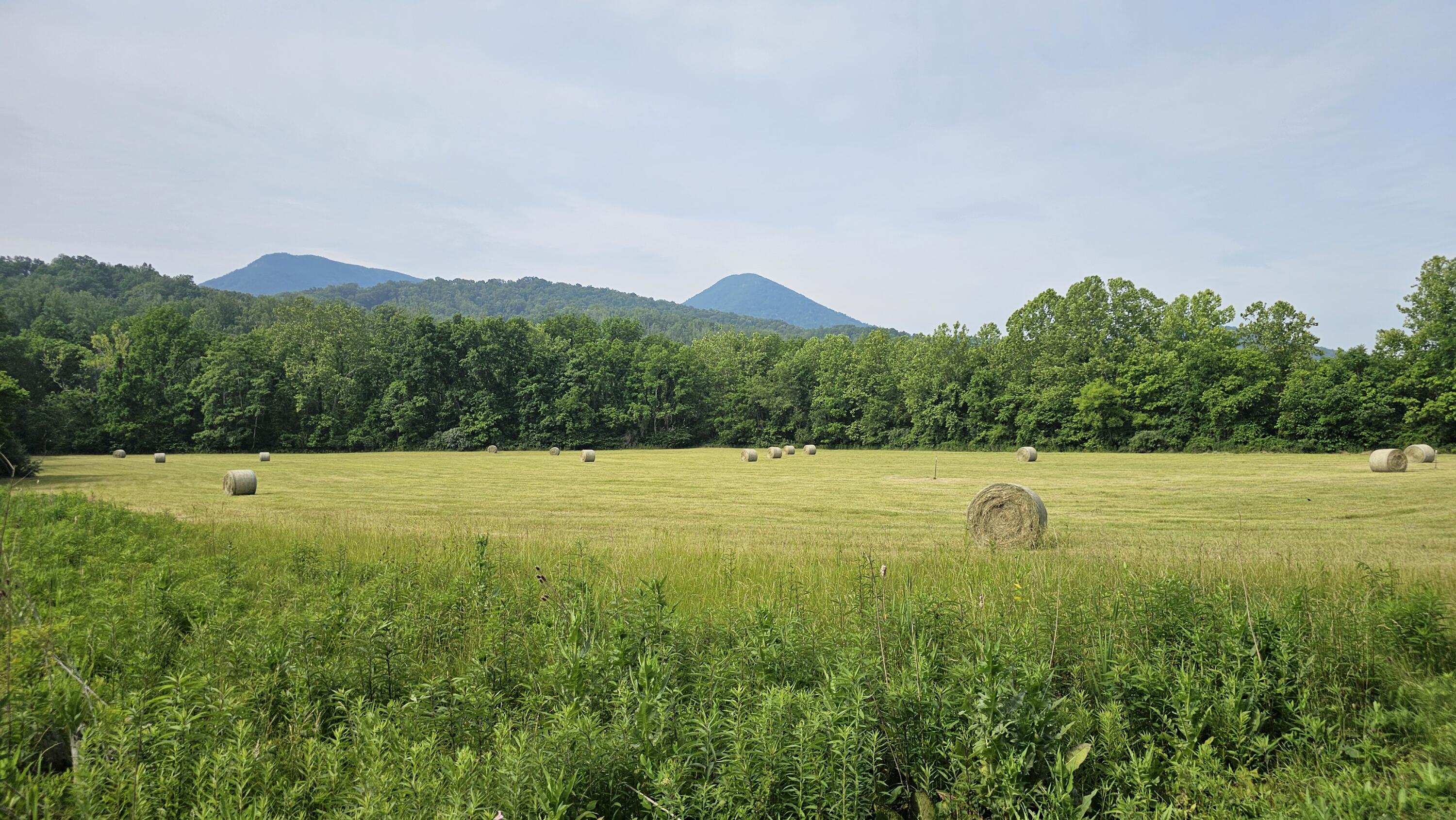 4165 W Midland Trl
