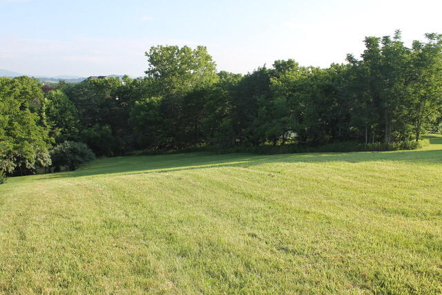 0 Cora Ln