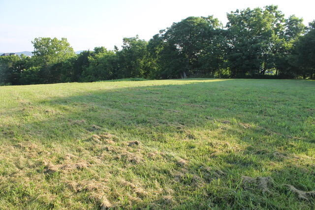 0 Cora Ln