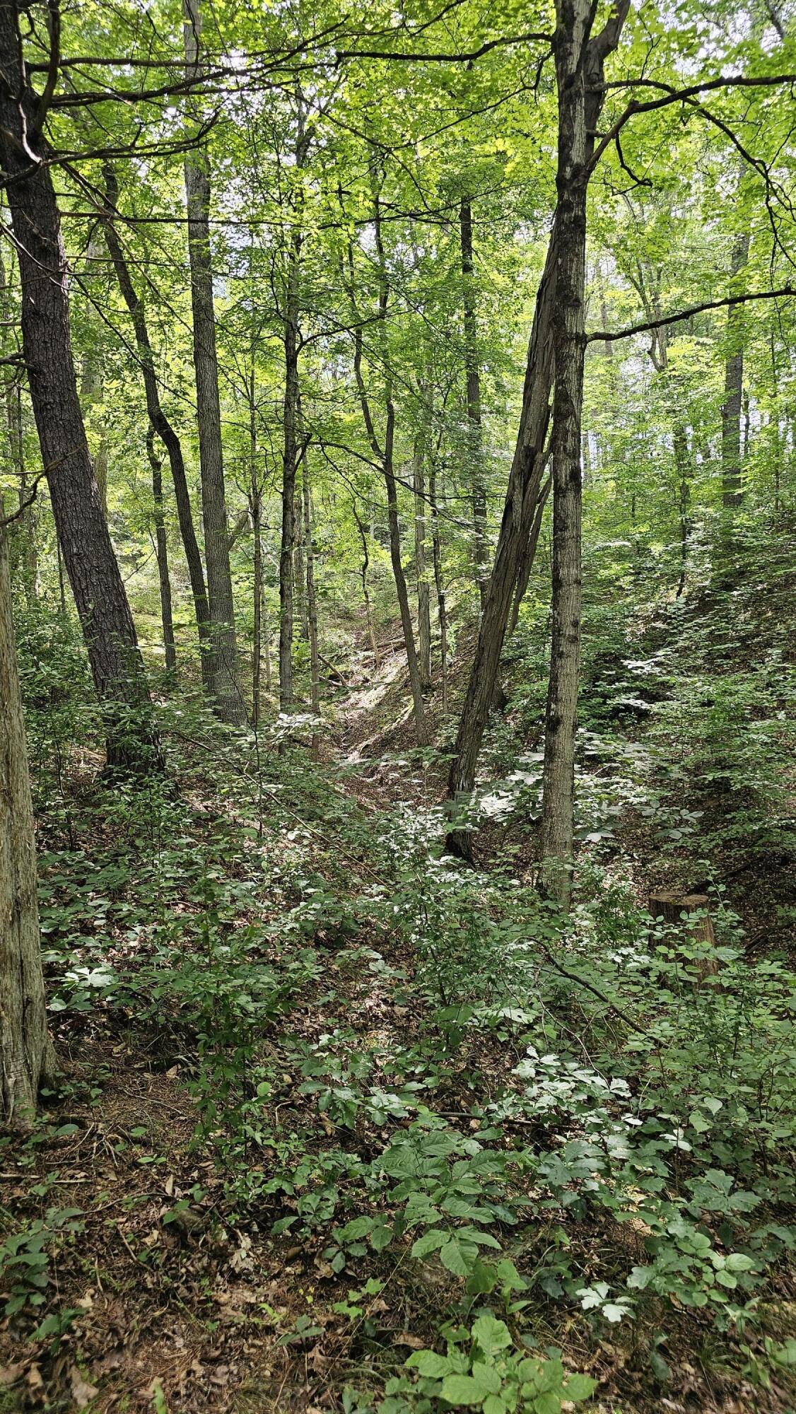 5.3 acres Gravel Ln