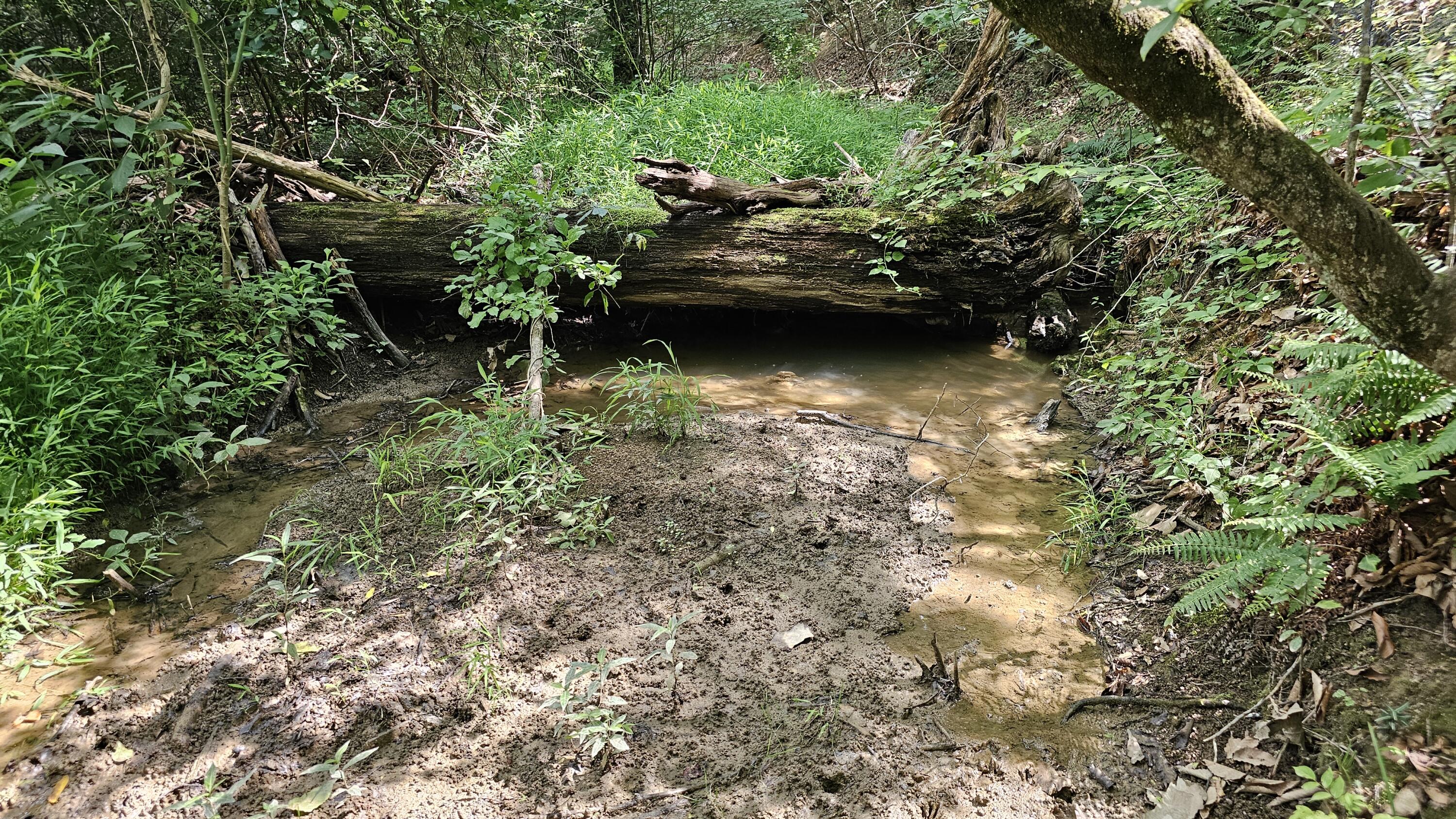 5.3 acres Gravel Ln