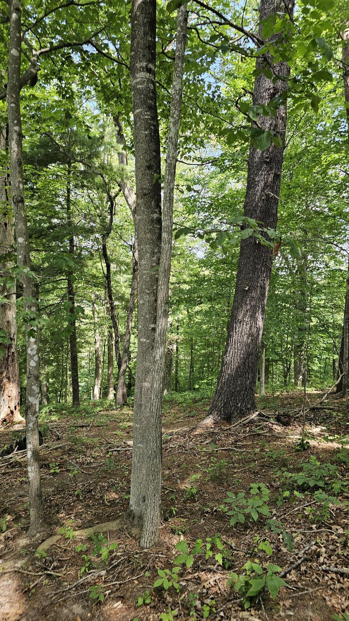 5.3 acres Gravel Ln