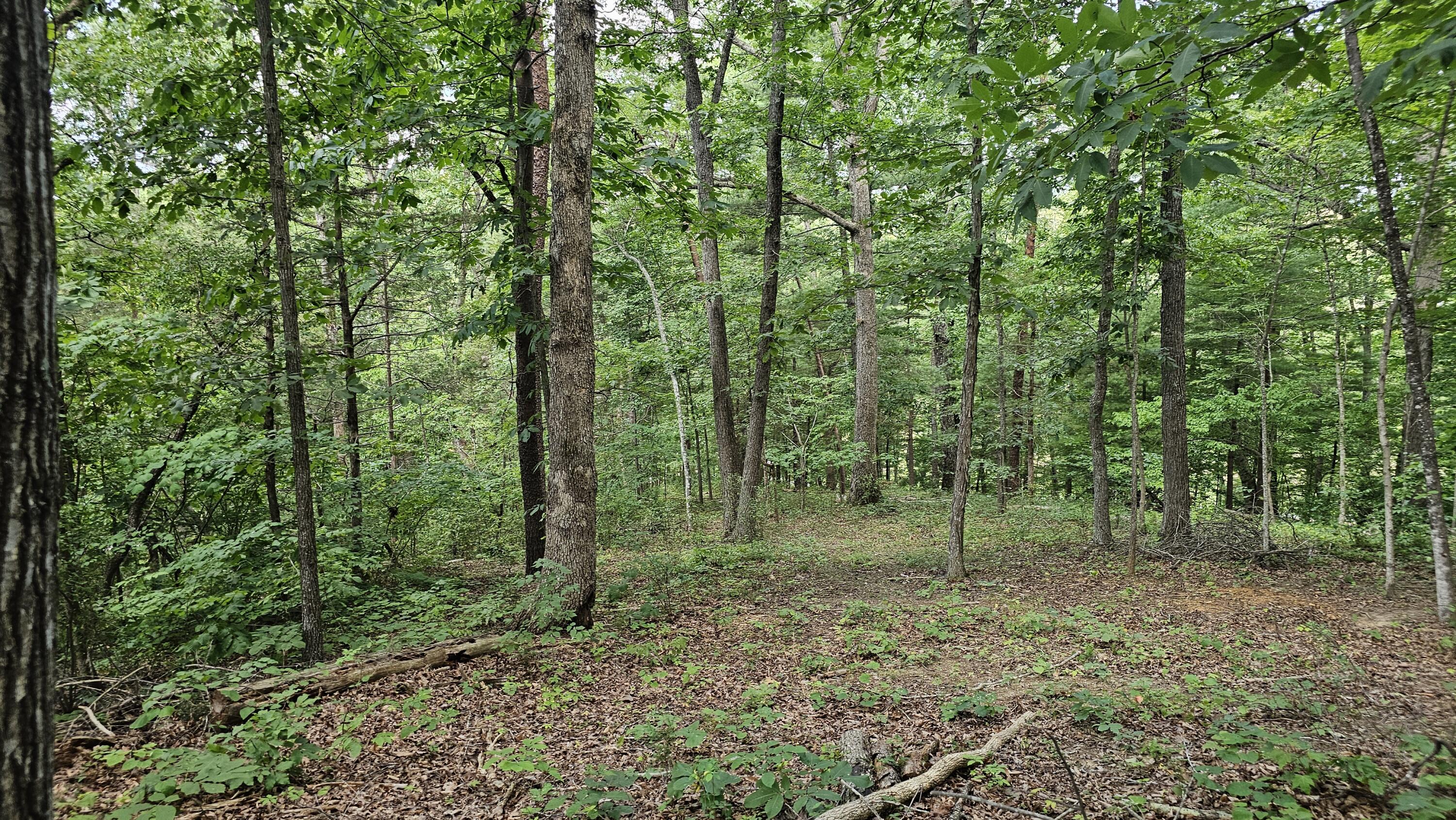 5.3 acres Gravel Ln
