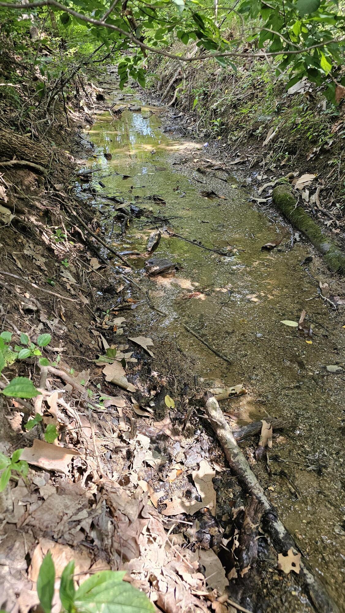 5.3 acres Gravel Ln
