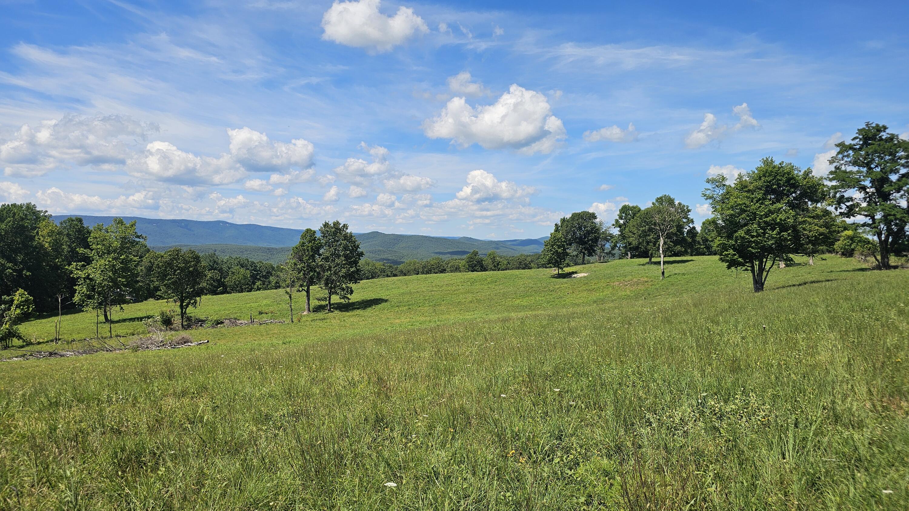 534 Knob Rd