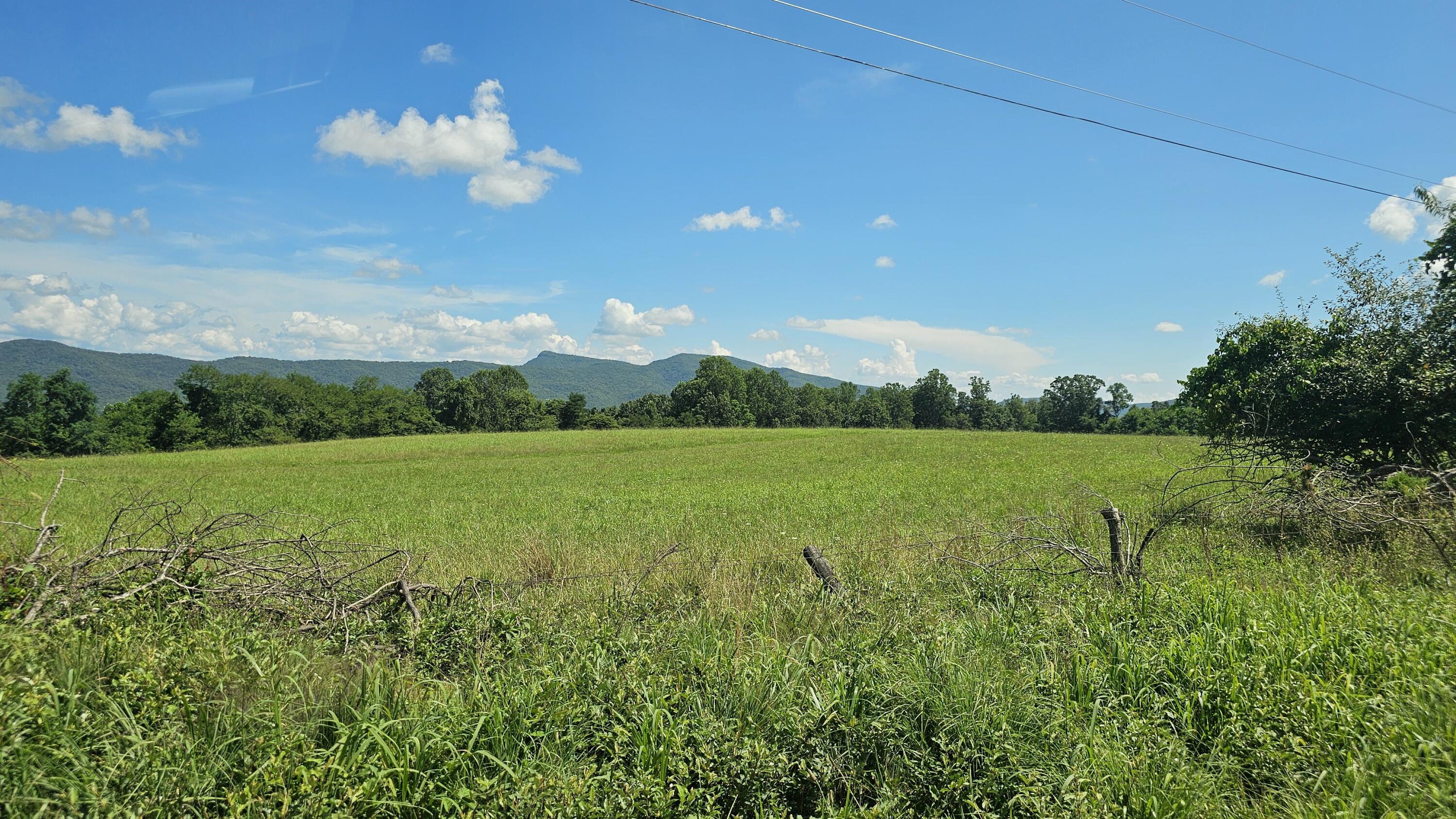 534 Knob Rd