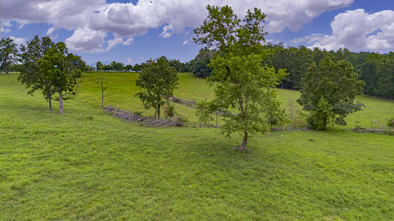 534 Knob Rd