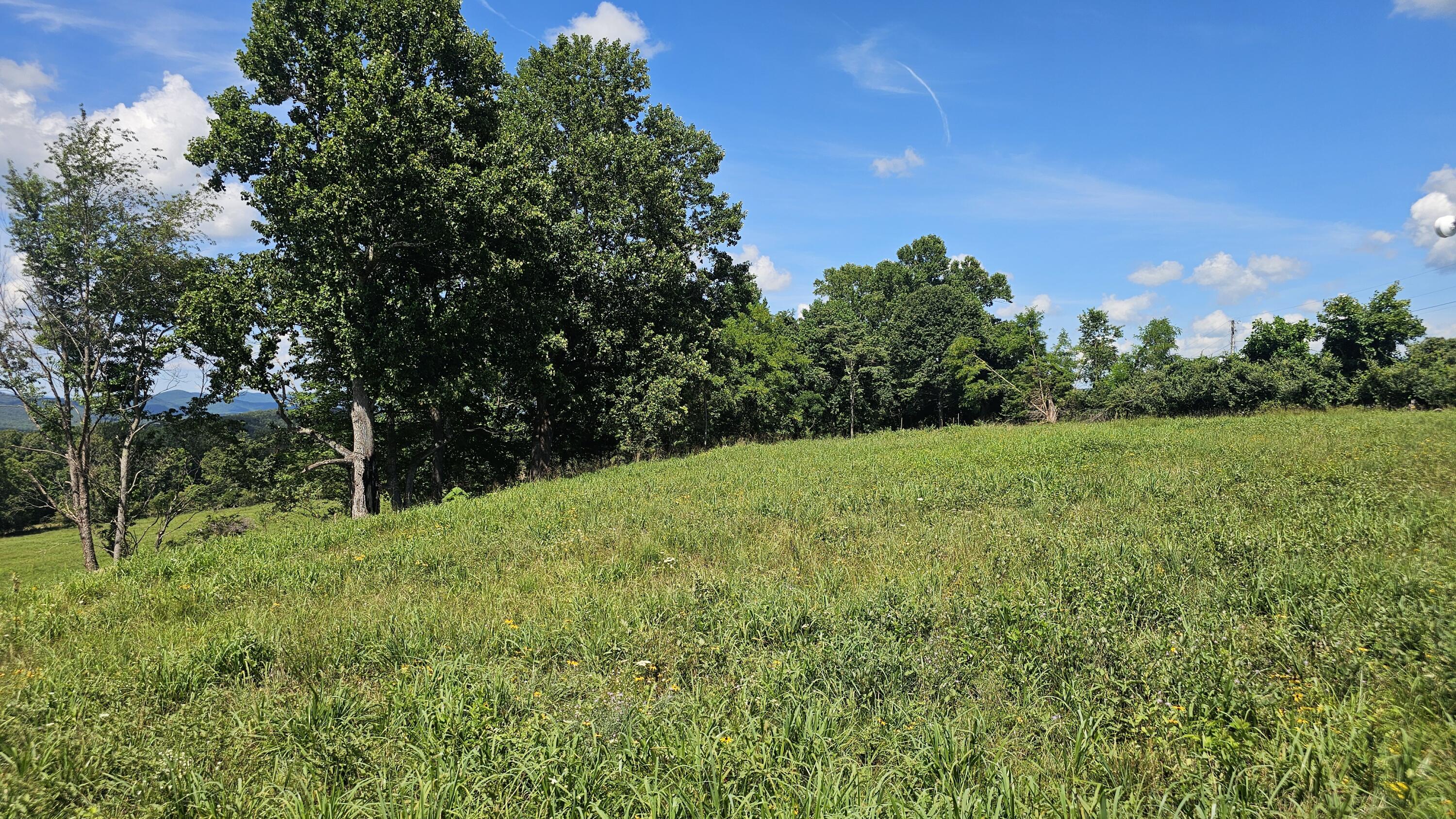 534 Knob Rd