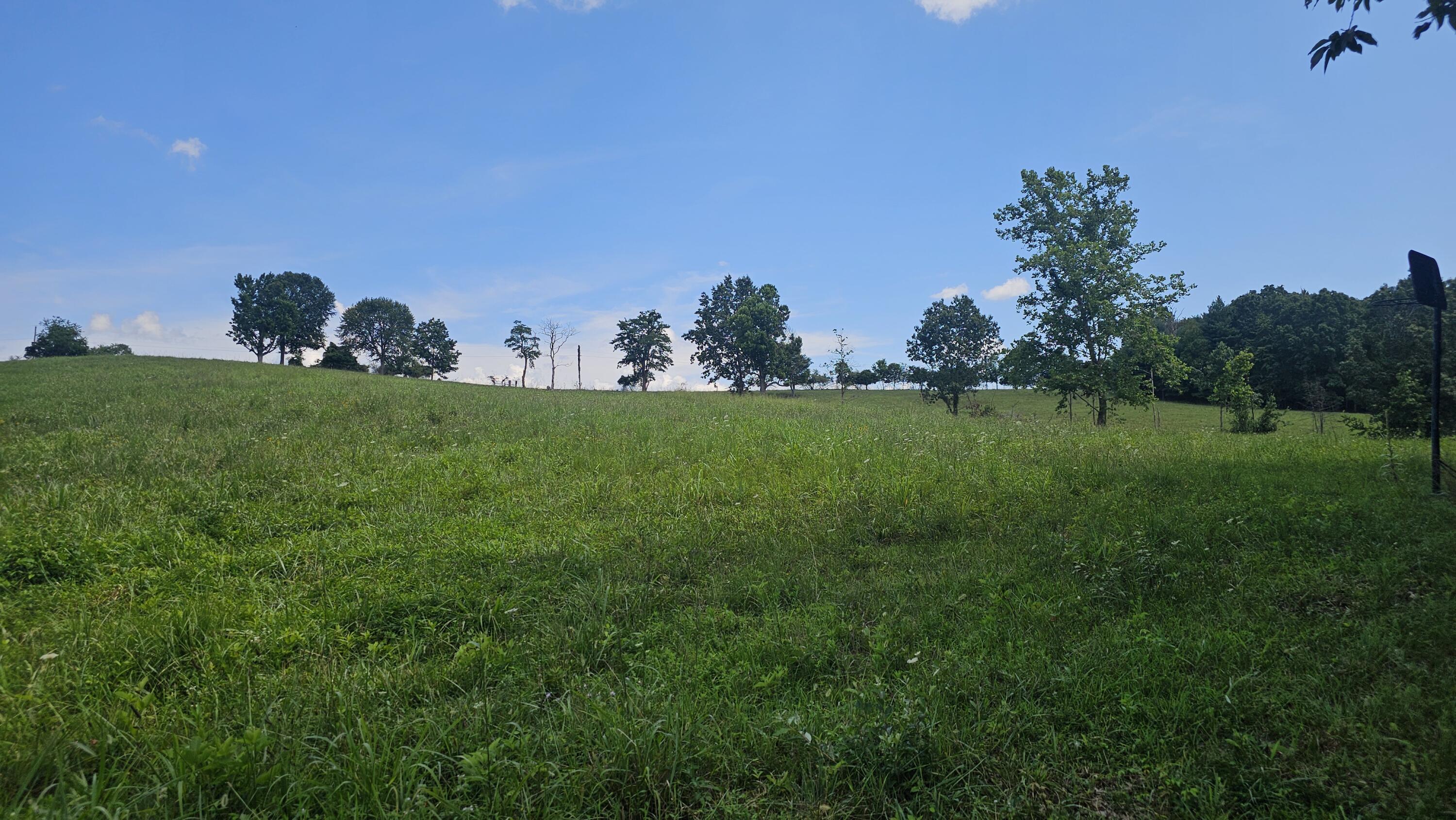 534 Knob Rd