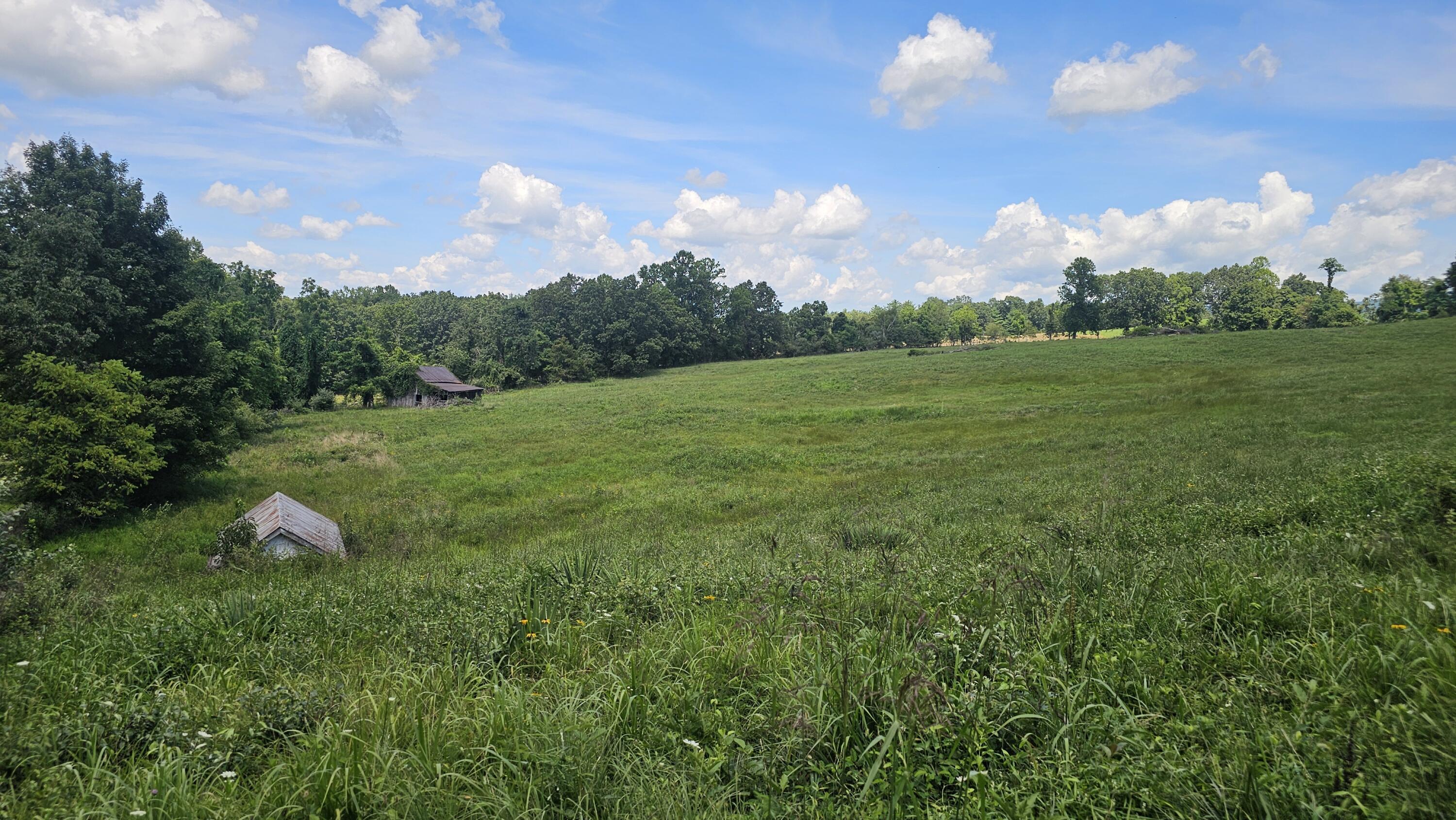 534 Knob Rd