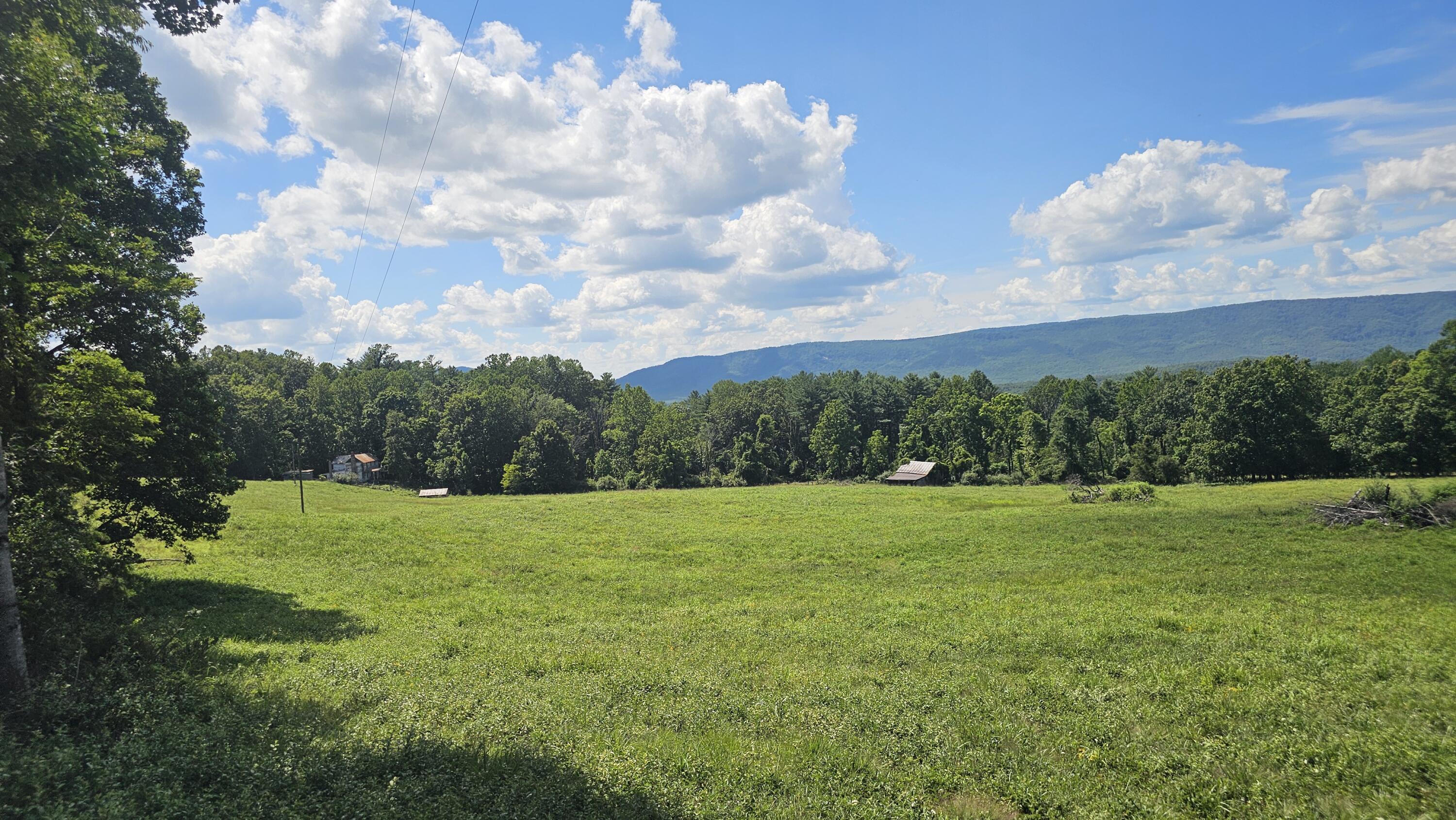 534 Knob Rd