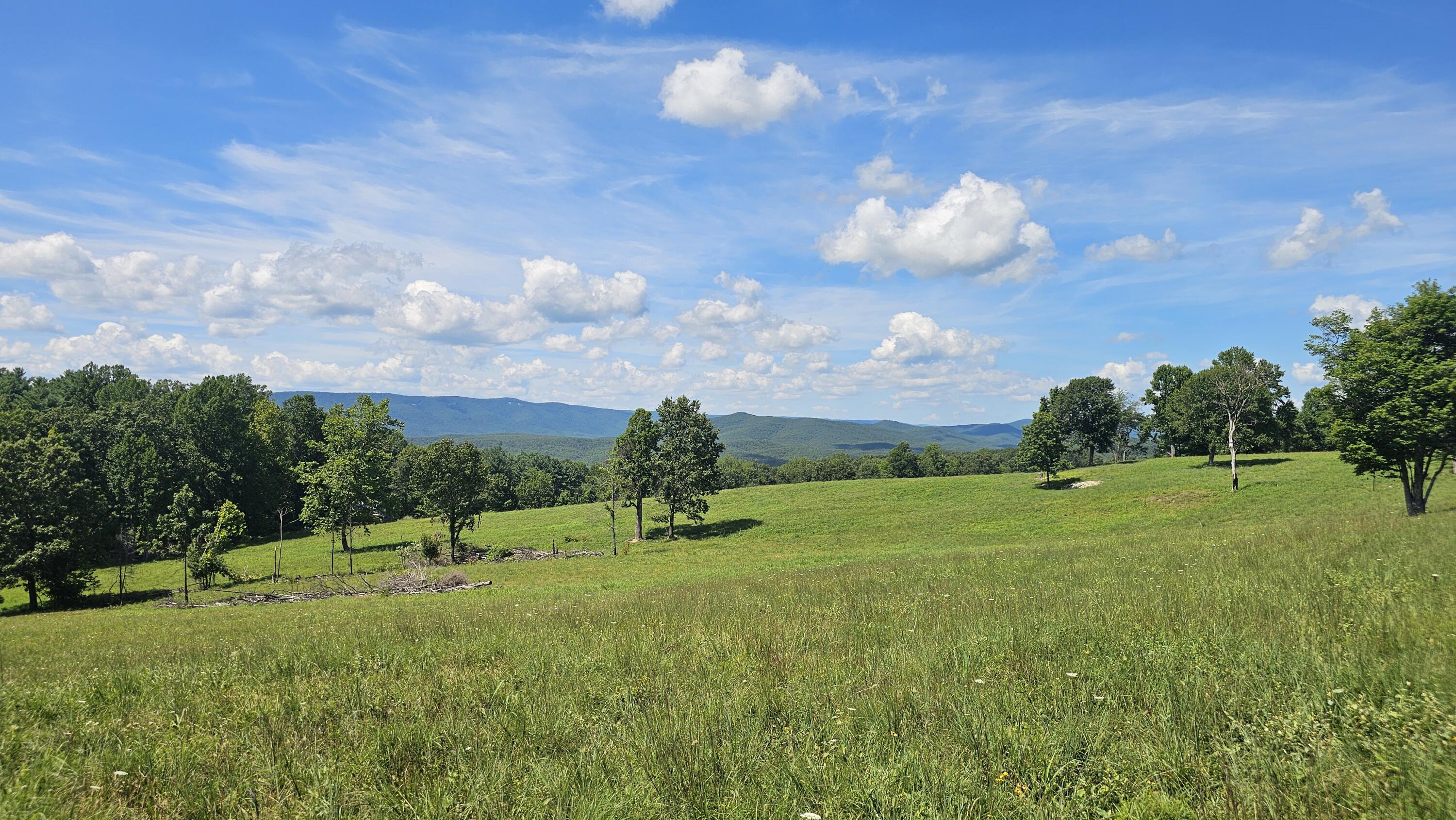 534 Knob Rd