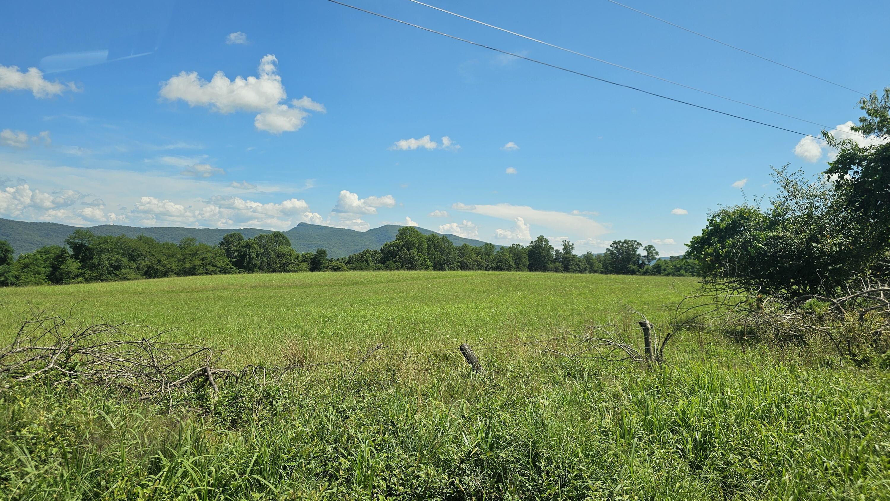 534 Knob Rd