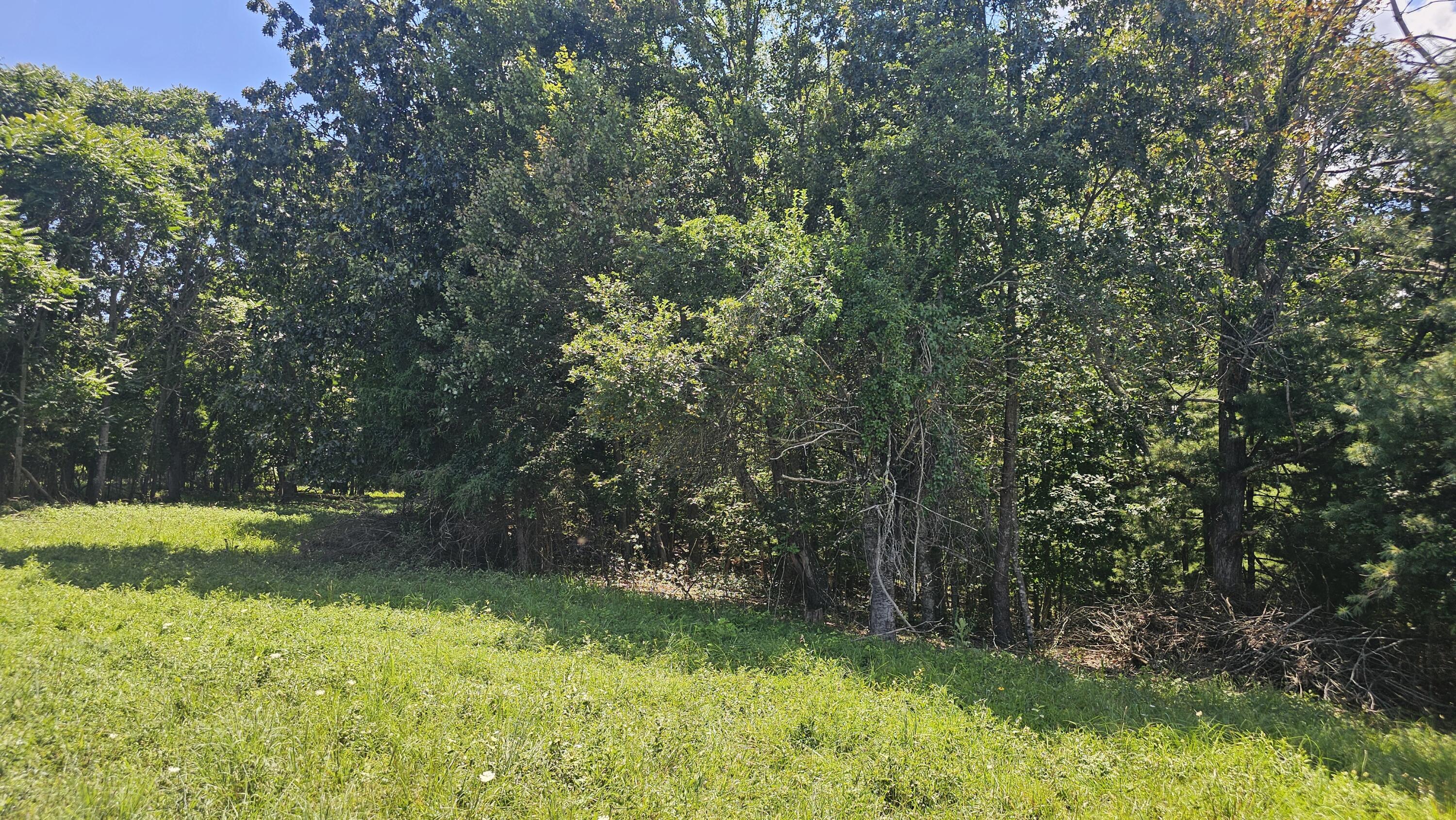 534 Knob Rd