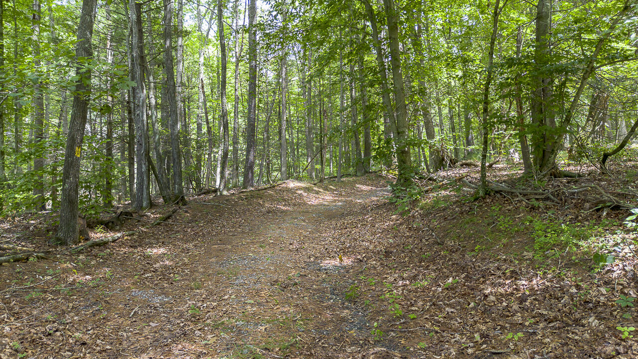 1560 Pedlar River Rd