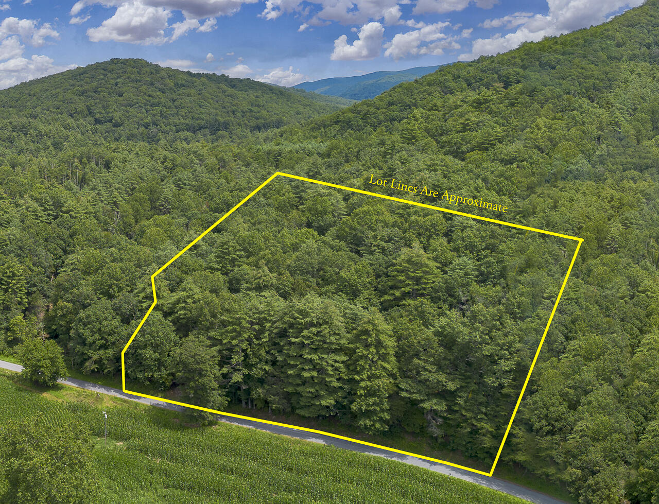 1560 Pedlar River Rd