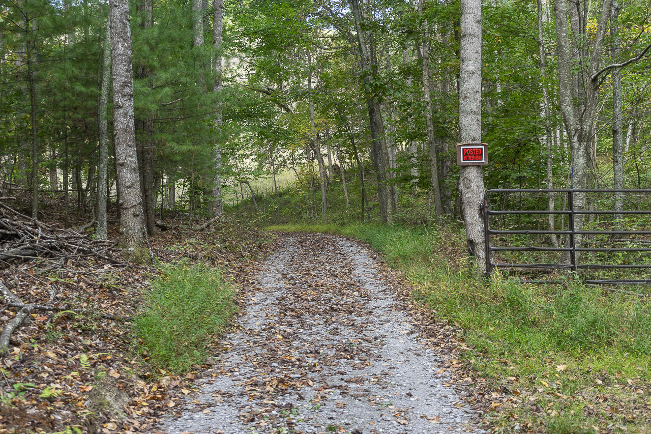 270 Trillium Trl